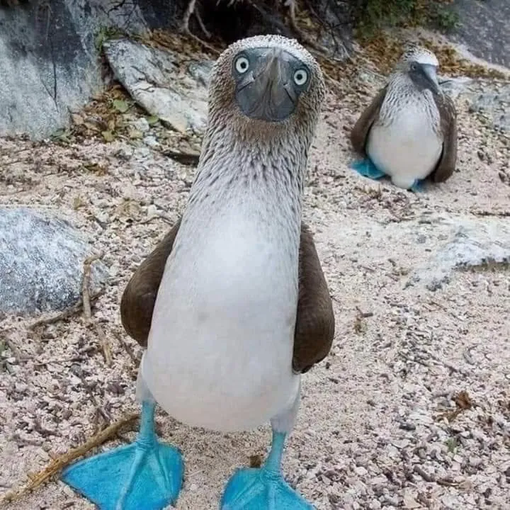 Neighbourhood in Loreto Playa Boutique Hotel