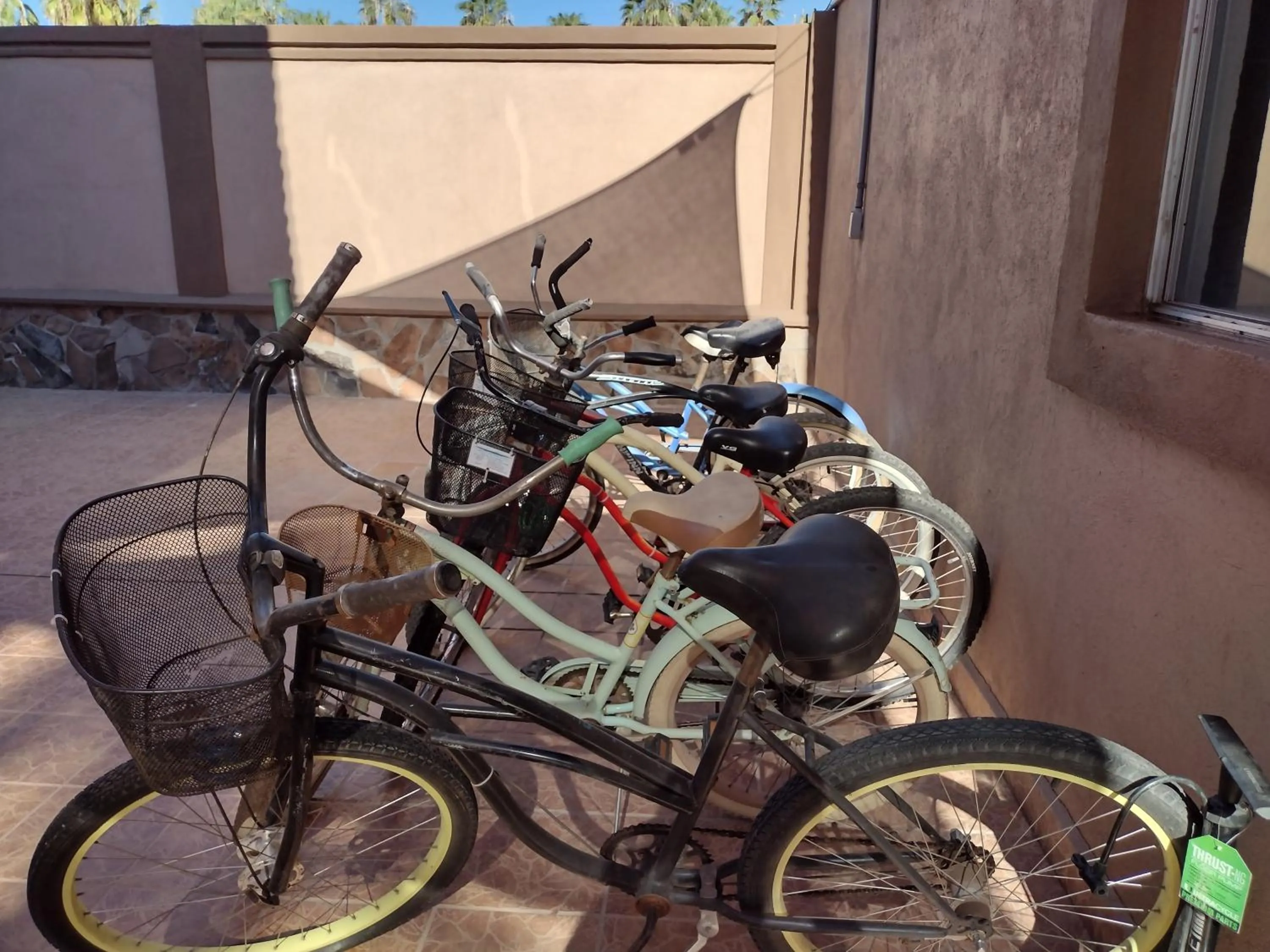 Activities in Loreto Playa Boutique Hotel