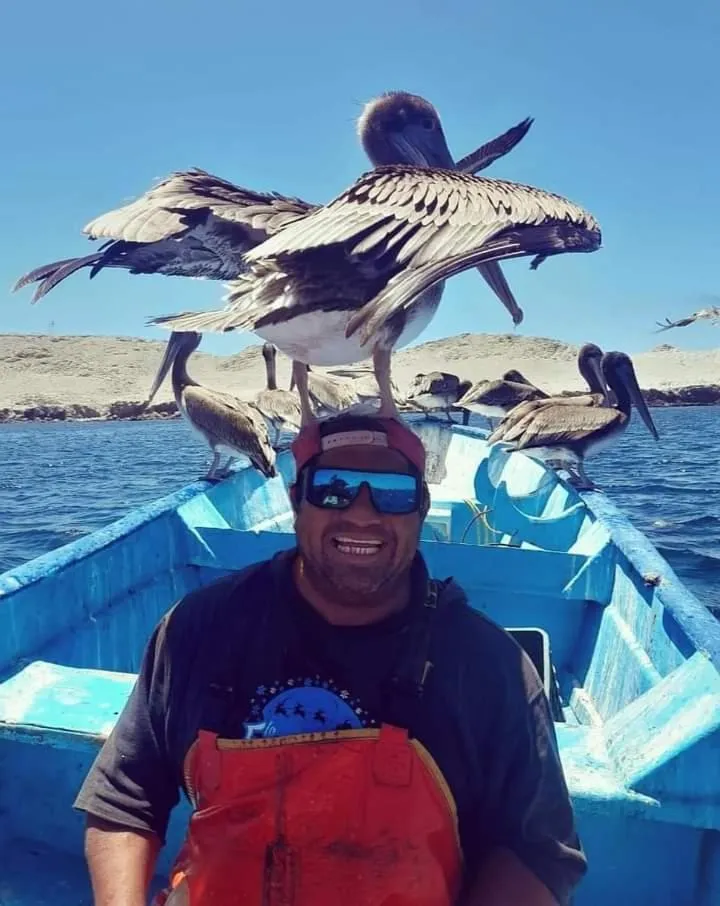 Animals in Loreto Playa Boutique Hotel