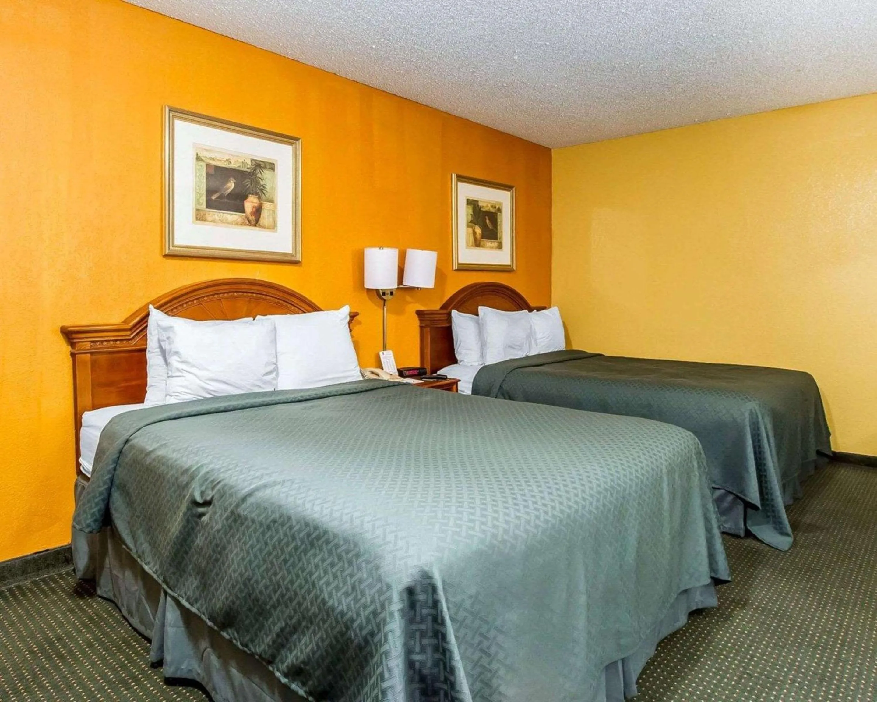 Photo of the whole room, Bed in Quality Inn Tucson Downtown near Convention Center