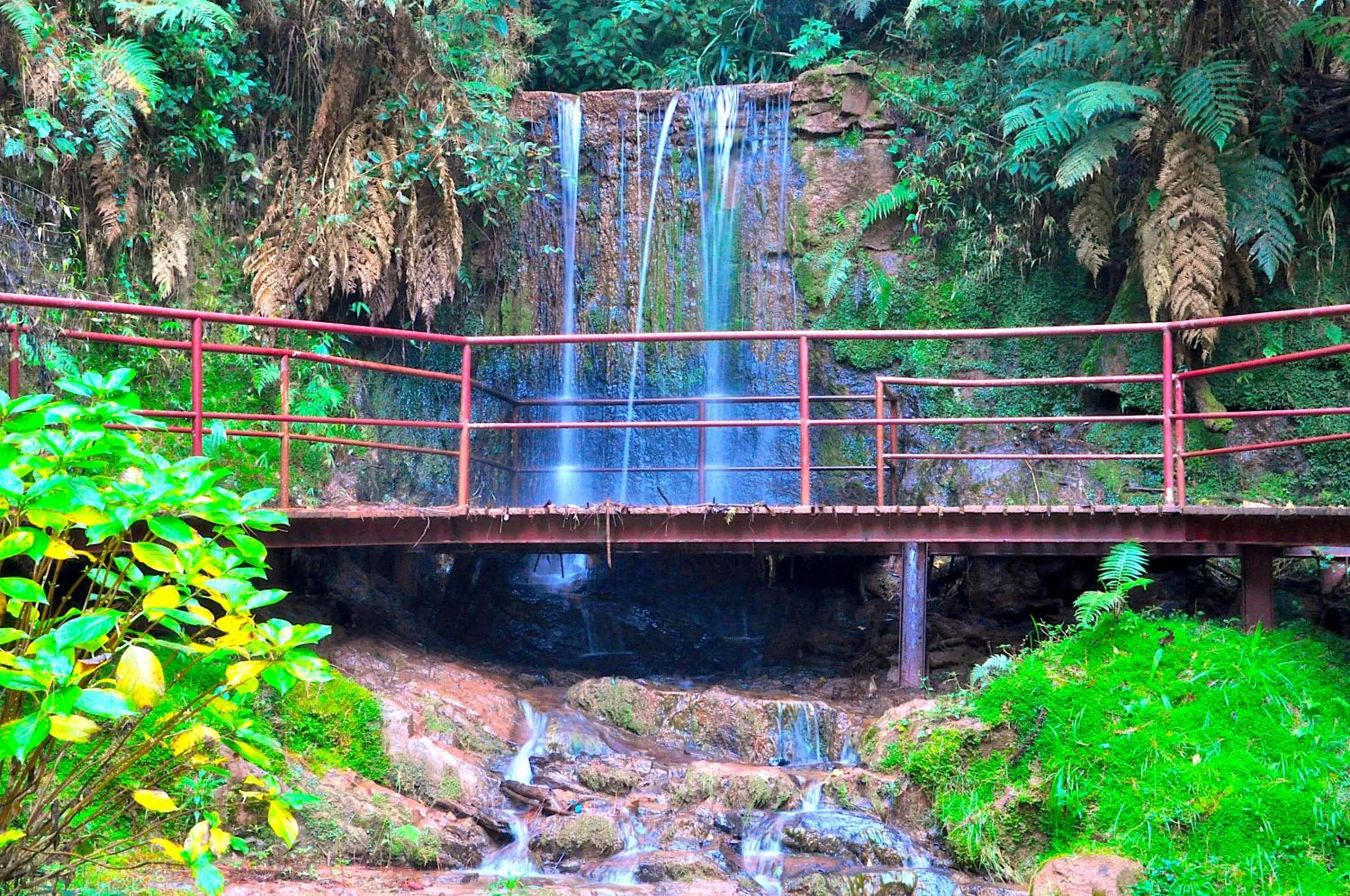 Garden in Hotel Platanus