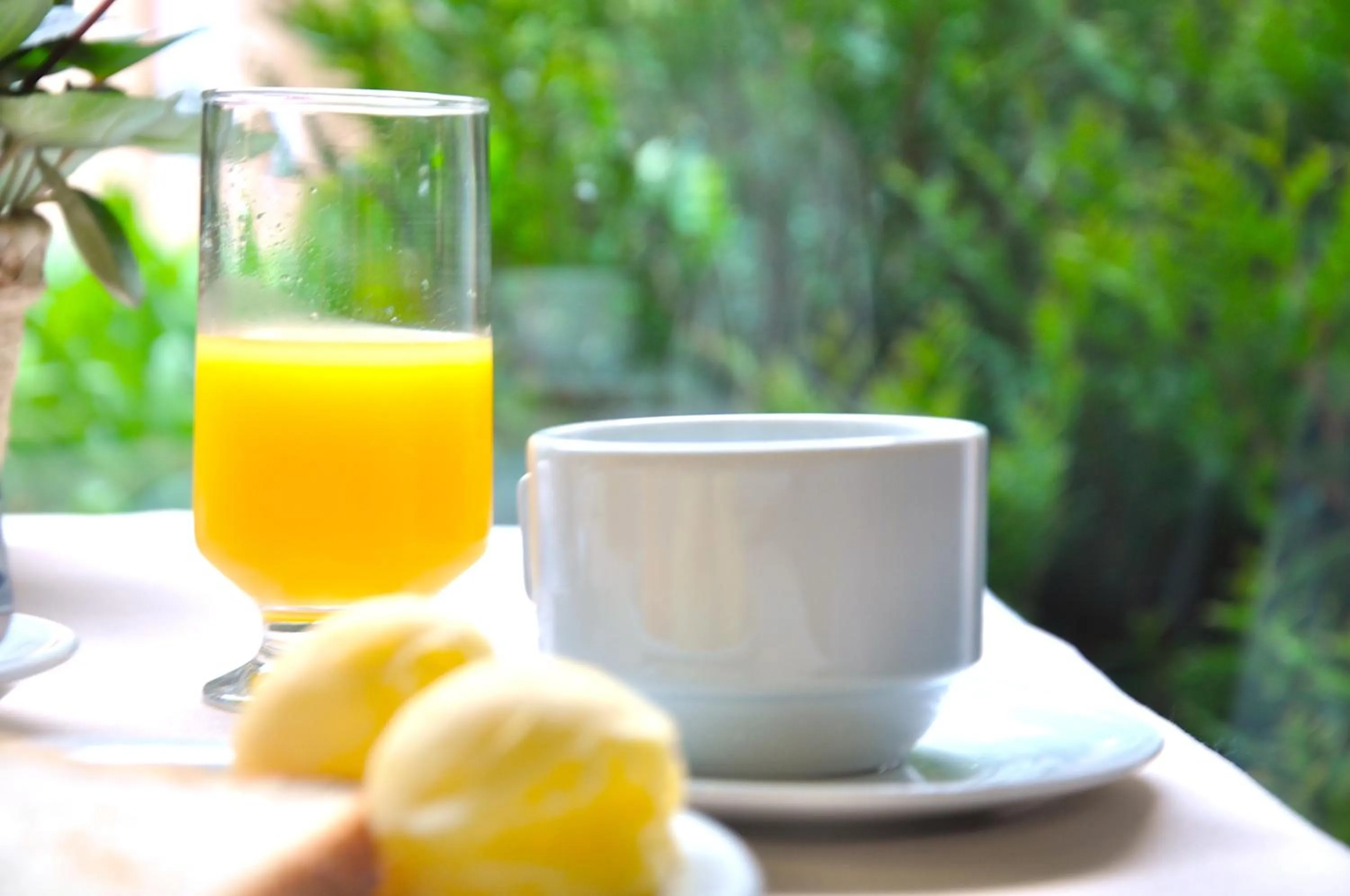 Breakfast in Hotel Platanus