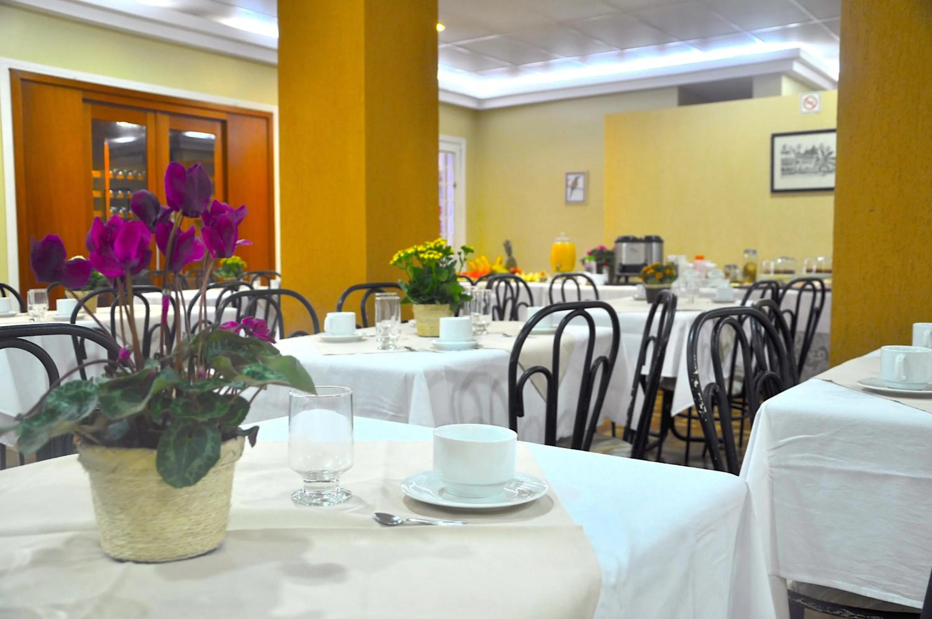 Restaurant/places to eat in Hotel Platanus