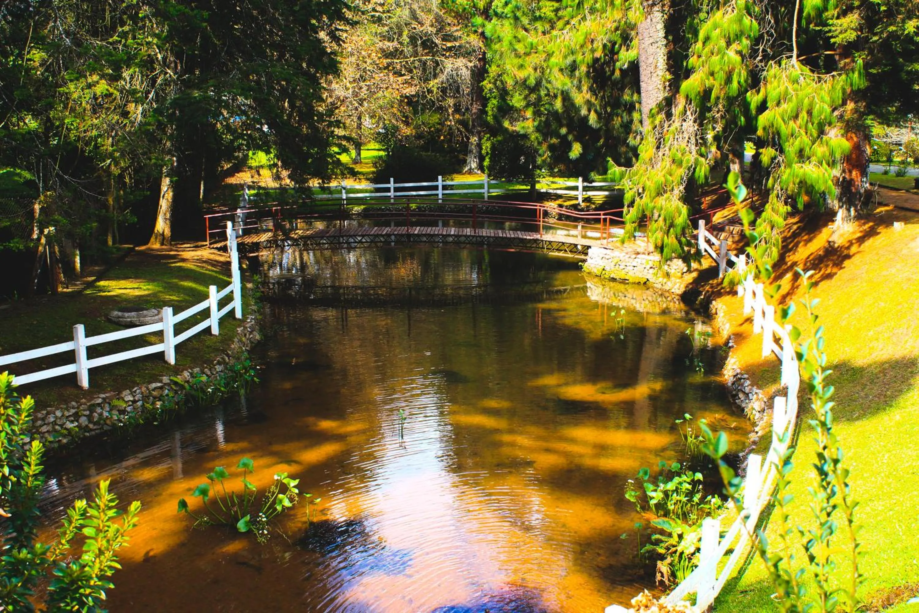 Natural landscape in Hotel Platanus