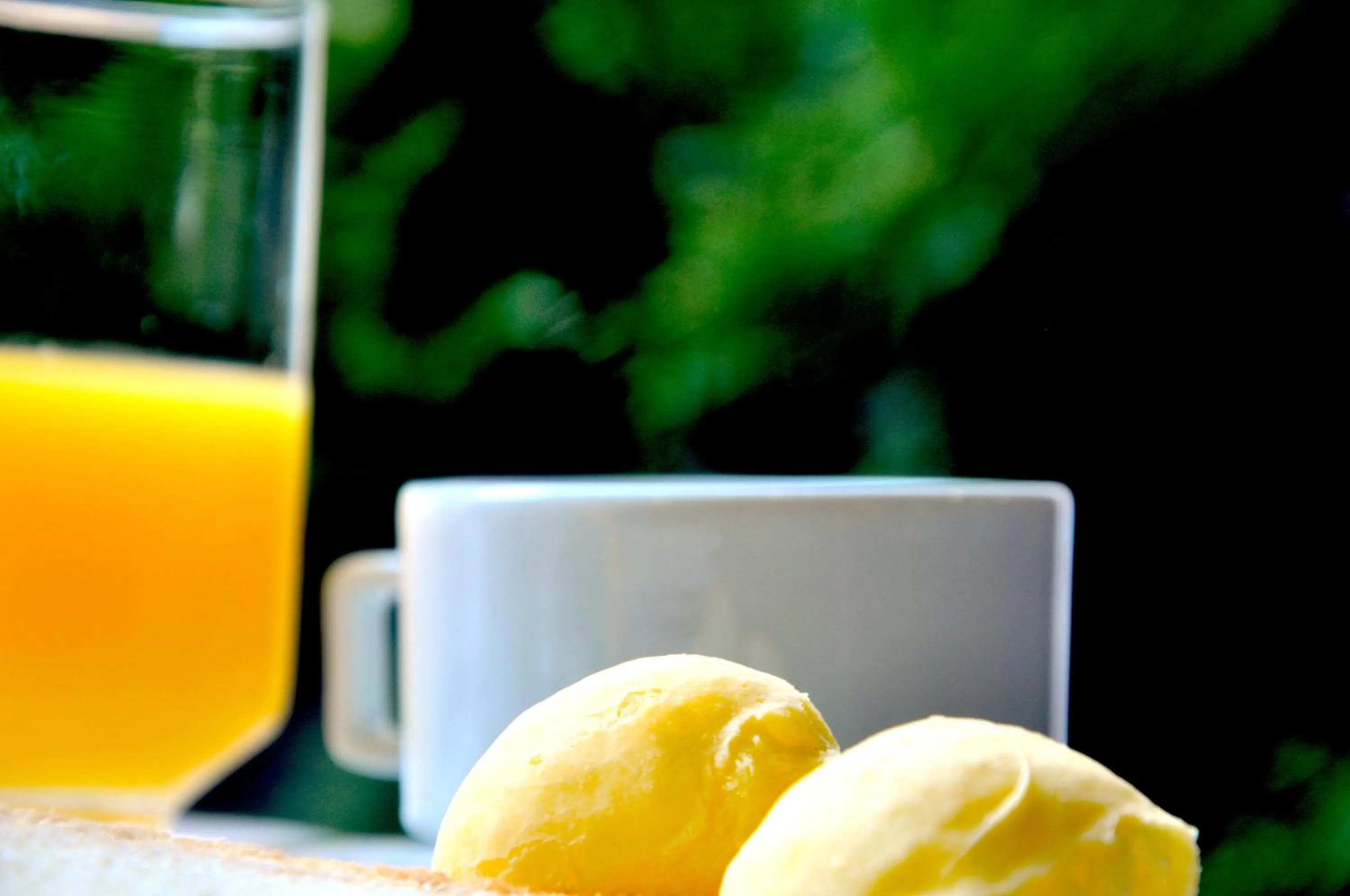 Breakfast in Hotel Platanus