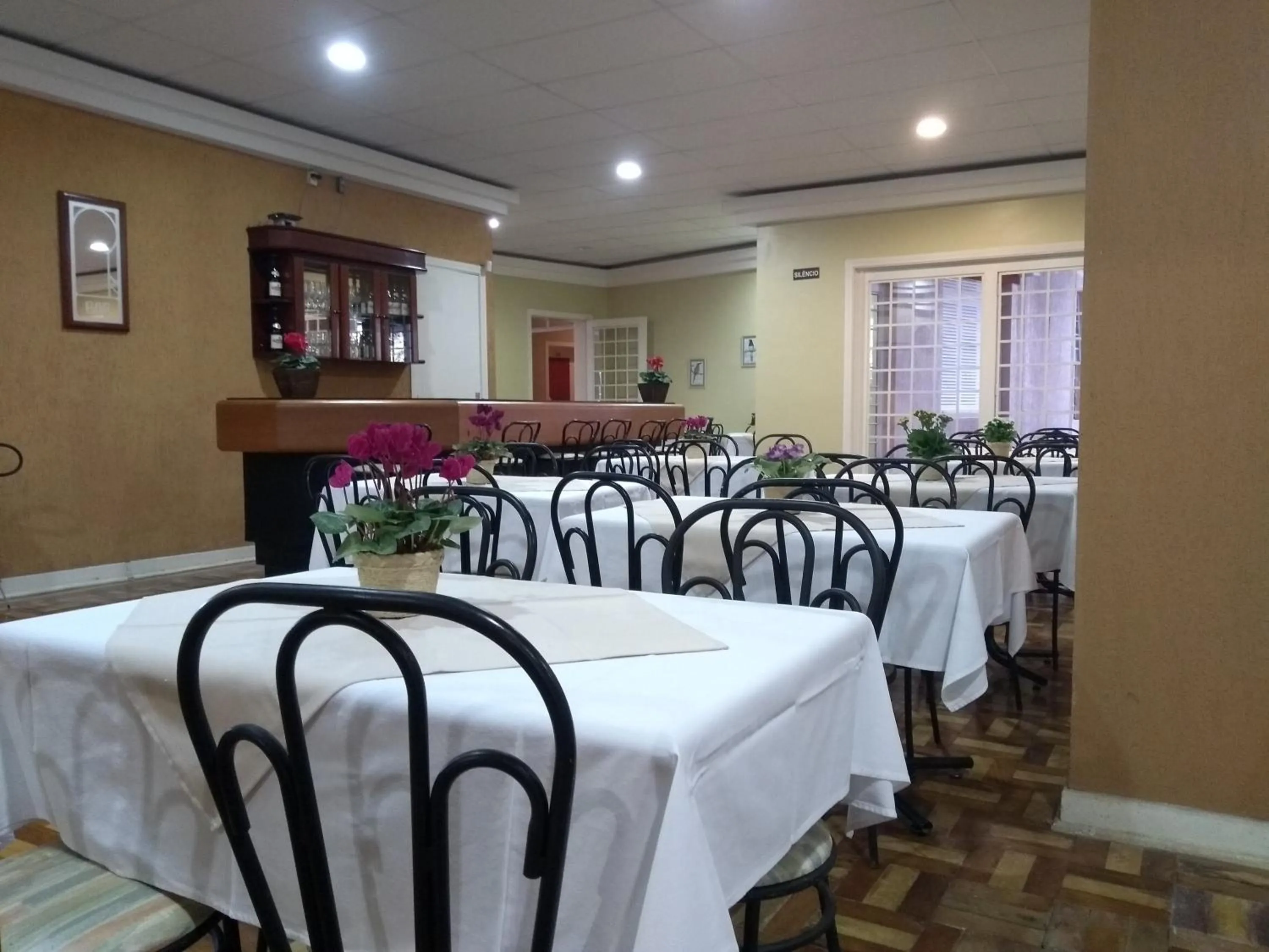 Restaurant/places to eat in Hotel Platanus