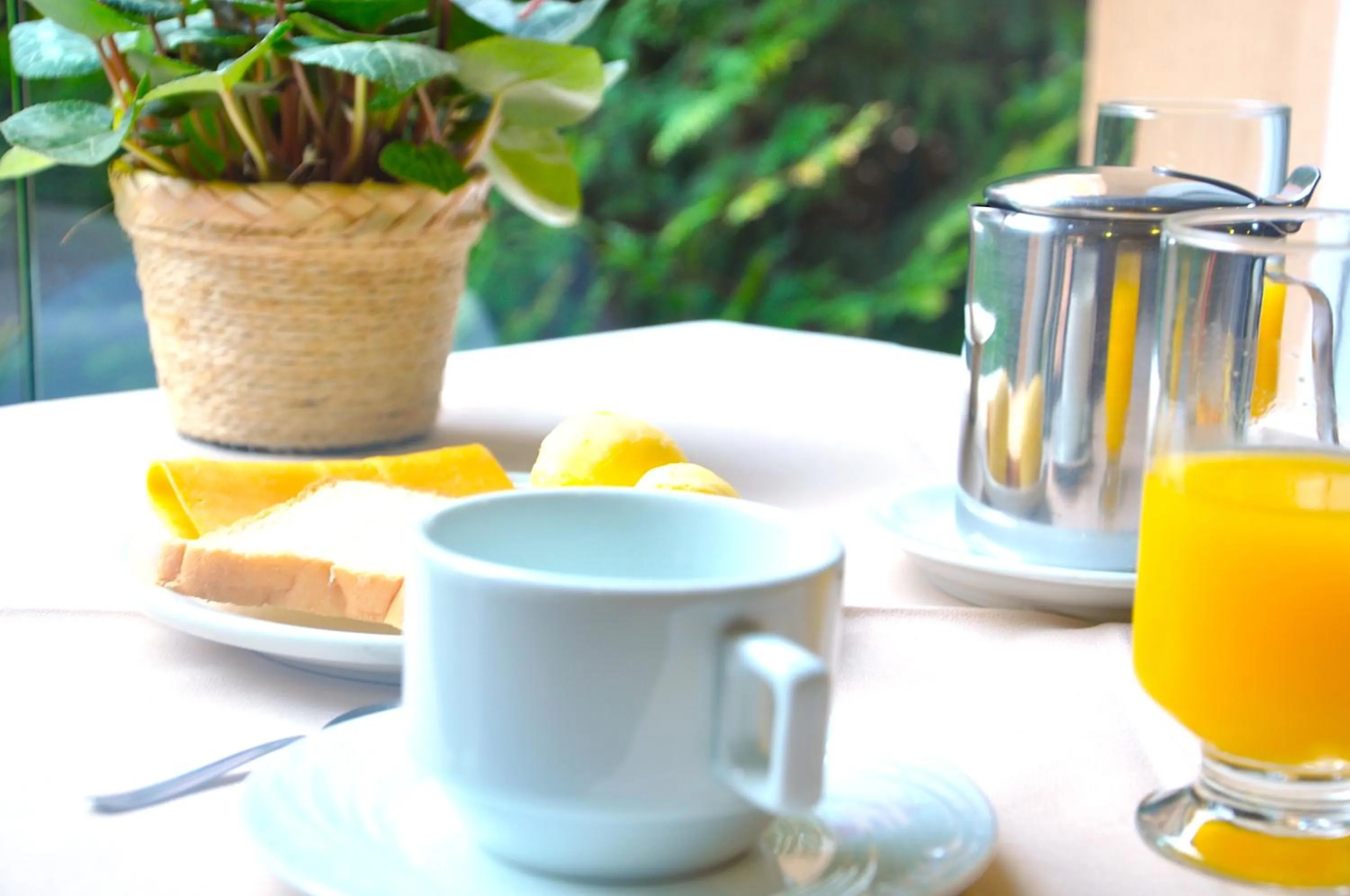Breakfast in Hotel Platanus