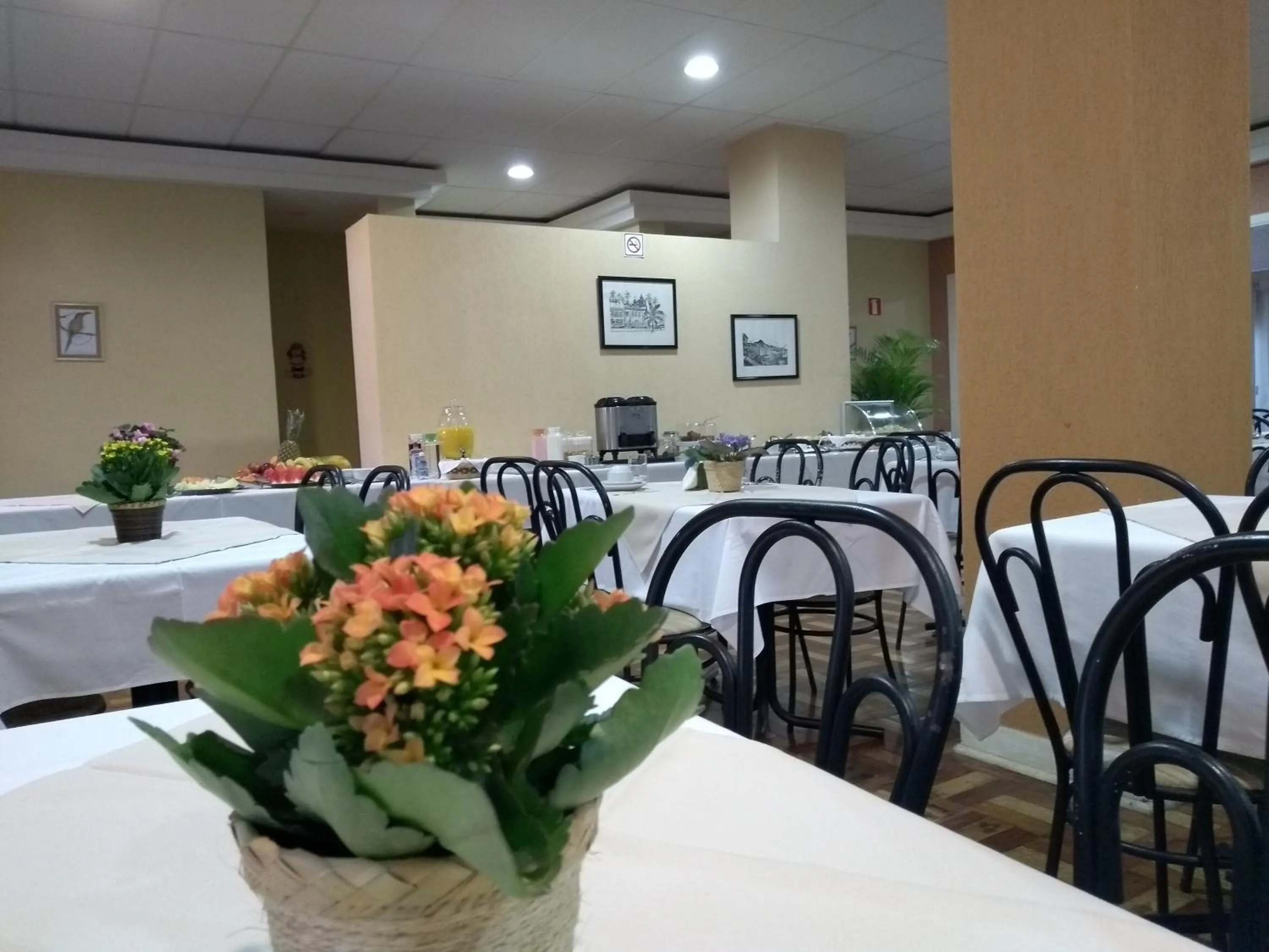 Restaurant/places to eat in Hotel Platanus