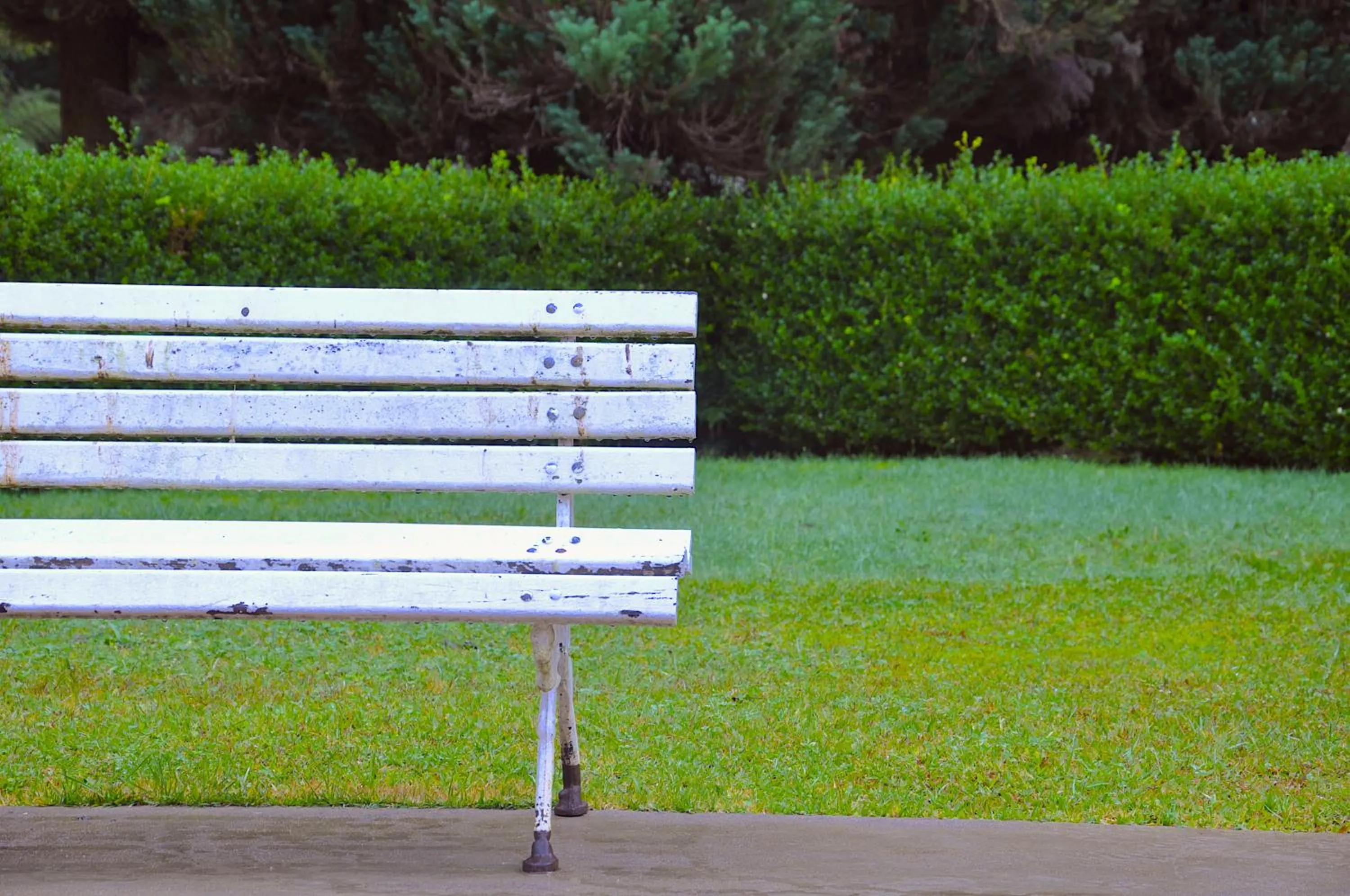 Natural landscape in Hotel Platanus