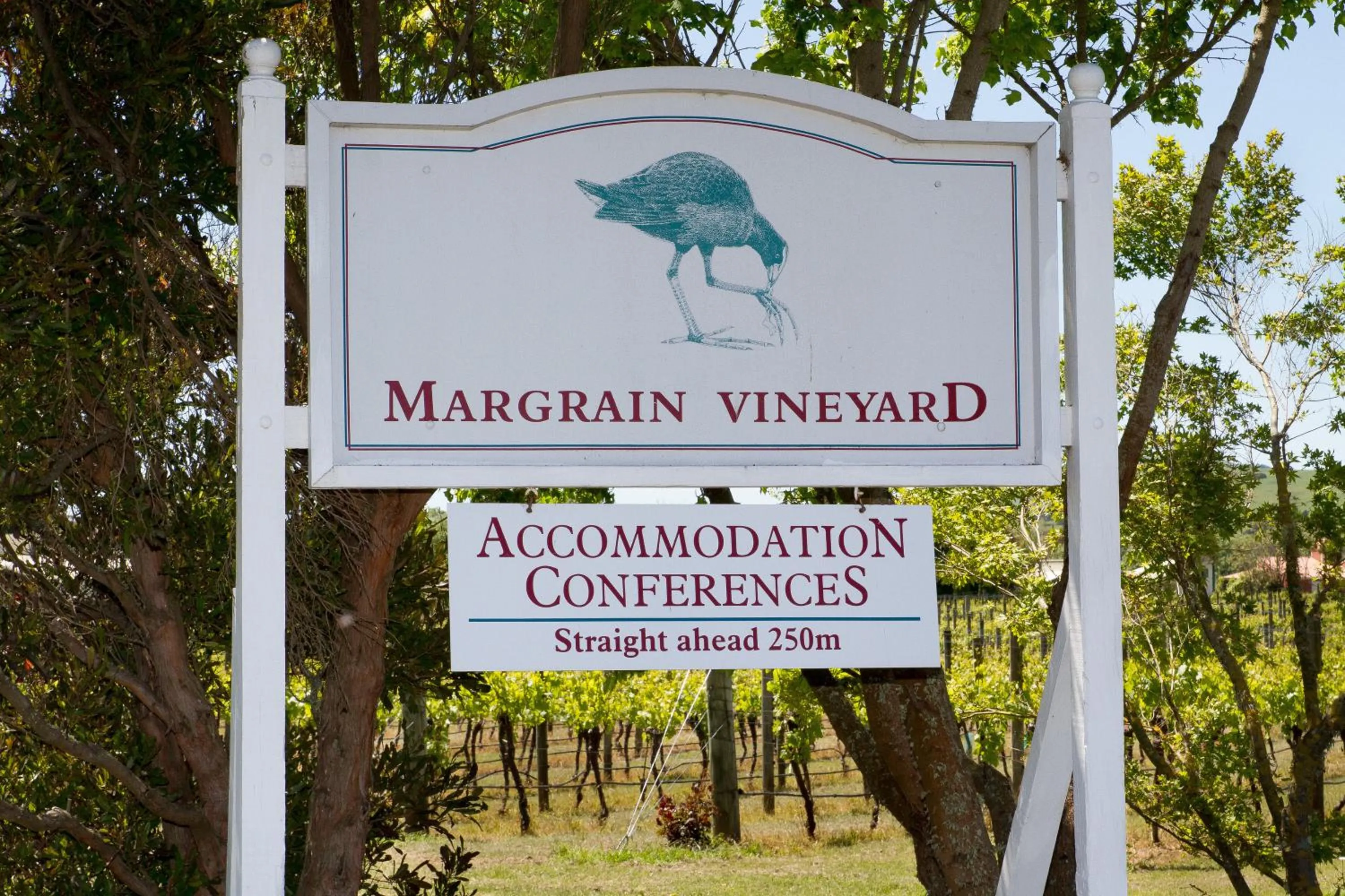 Day in Margrain Vineyard Villas