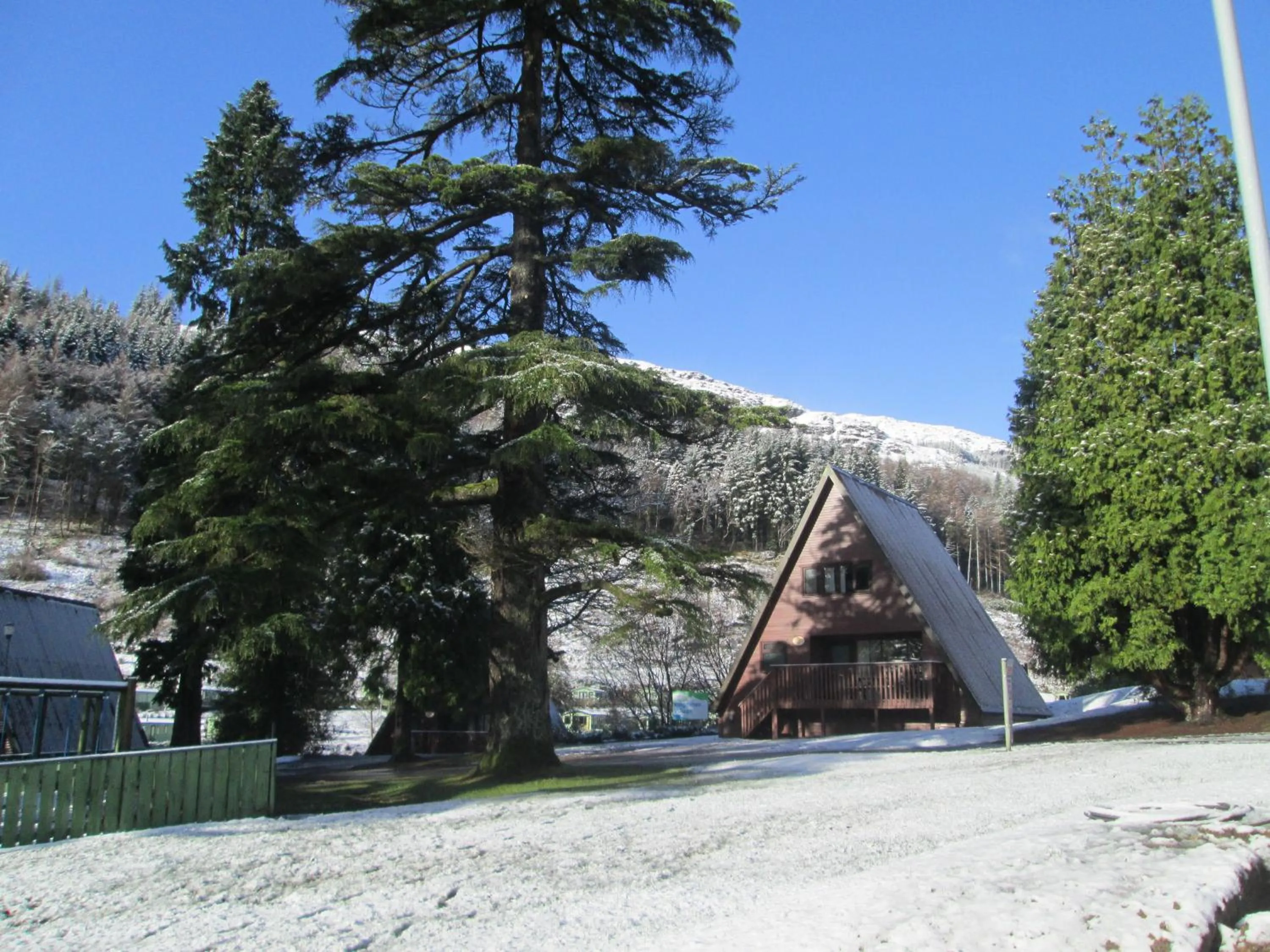 Natural landscape in Drimsynie Estate Hotel