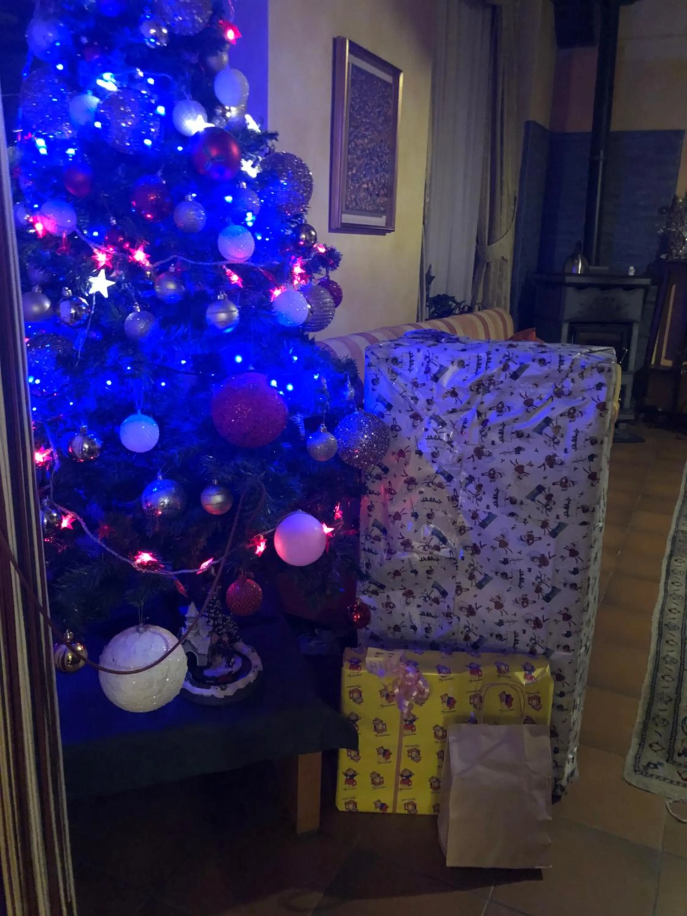 Banquet/Function facilities in Hotel Genzianella