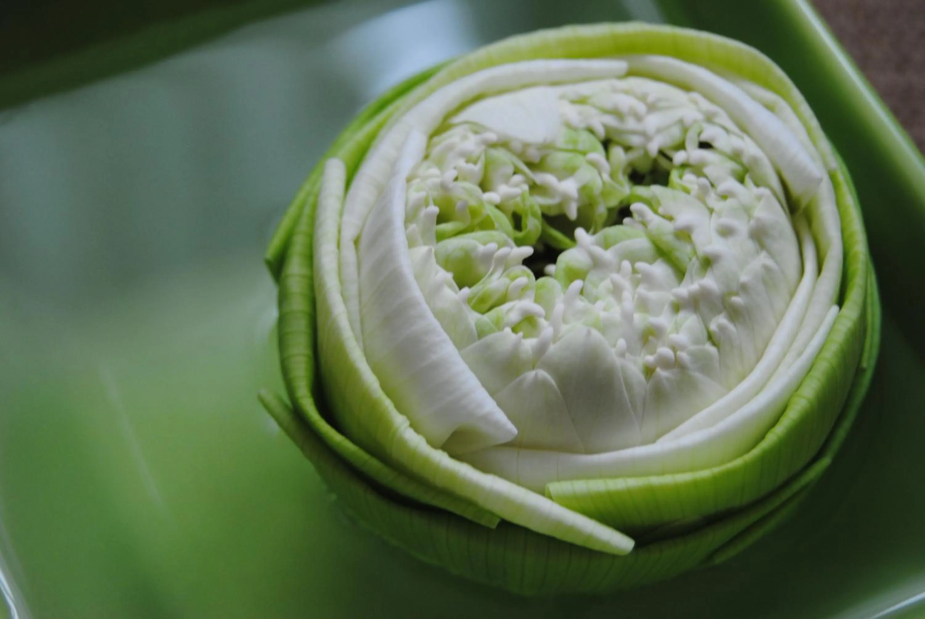 Activities in Baan Dinso