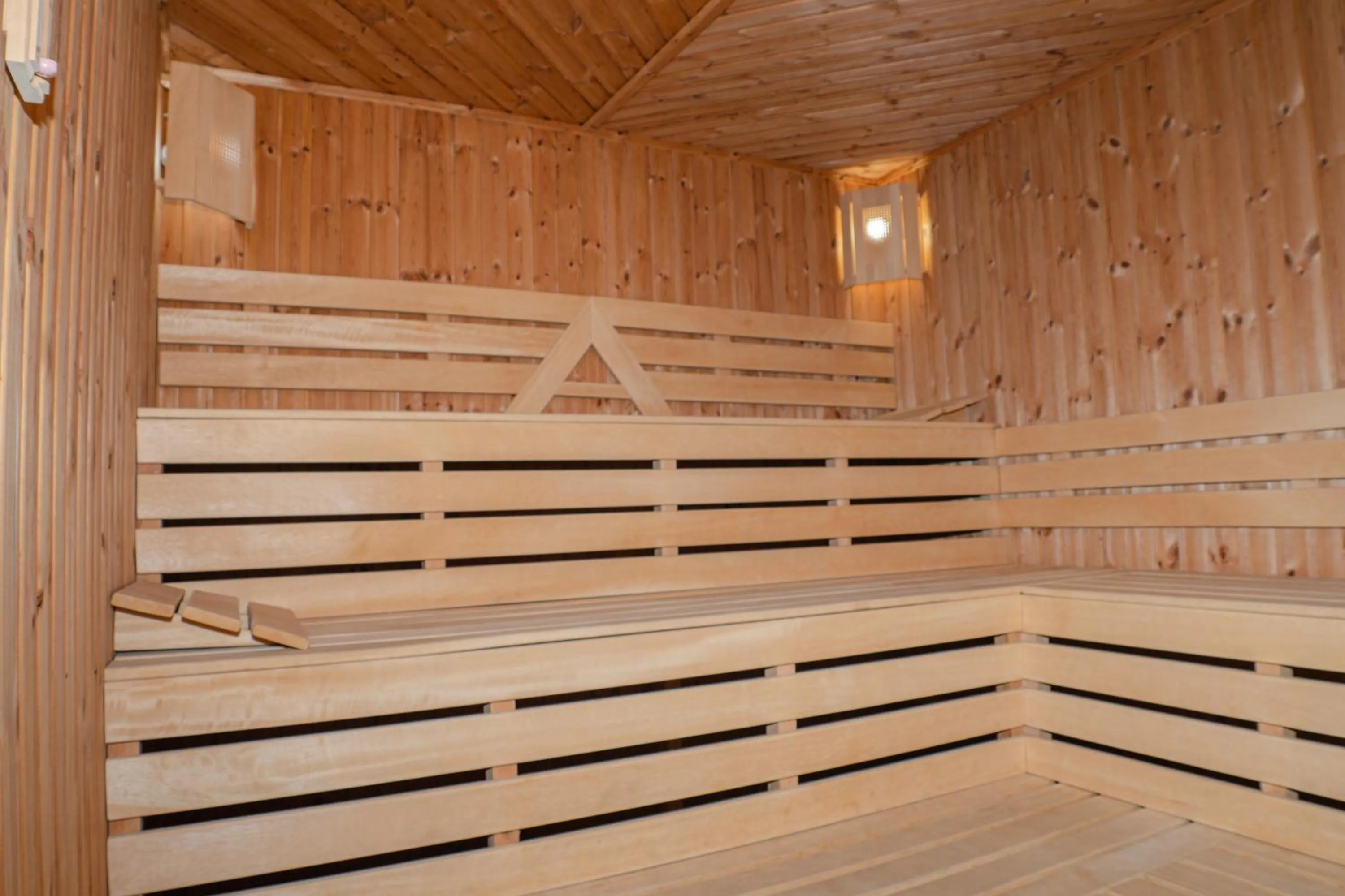 Sauna in Villa Aurora