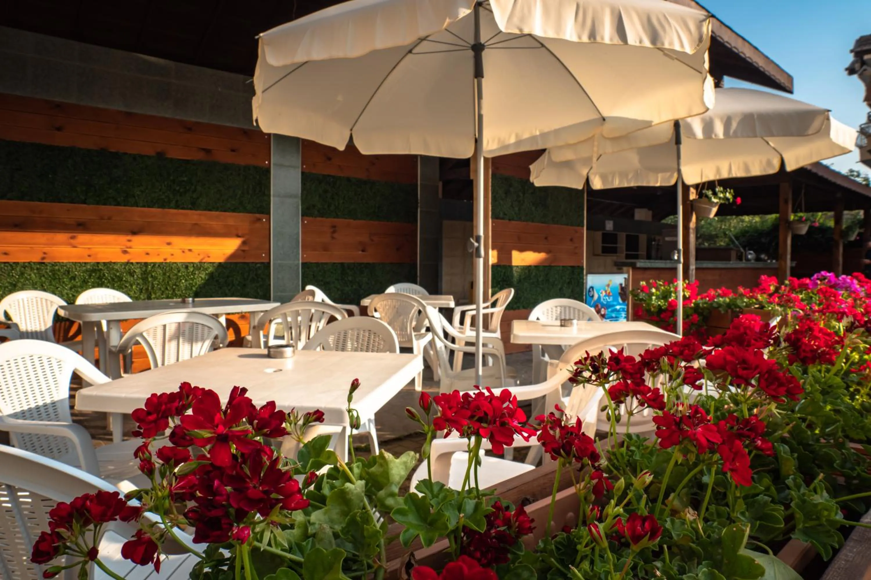 Lounge or bar in Villa Aurora