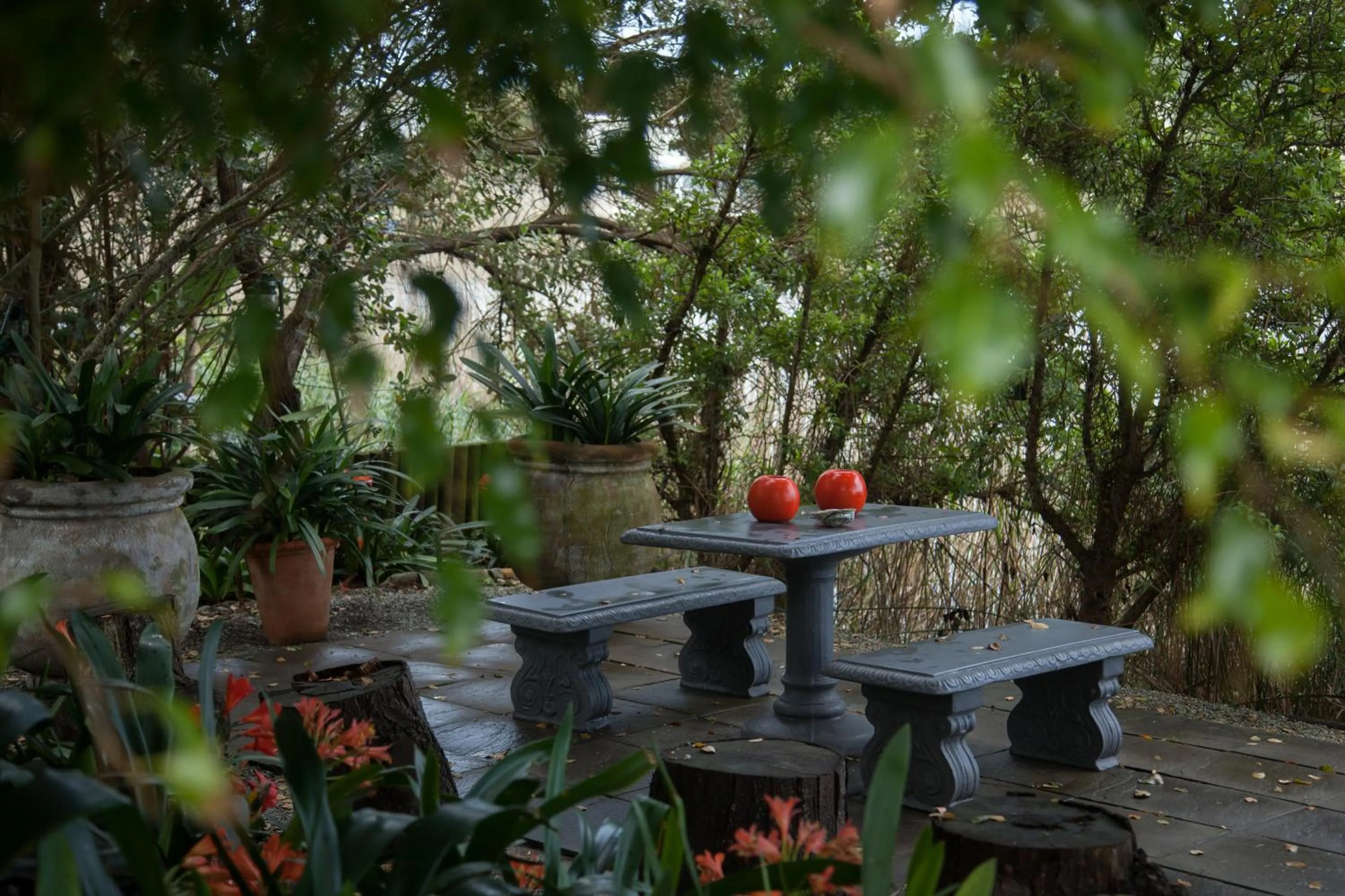 Garden in Serendipity Country House & Restaurant