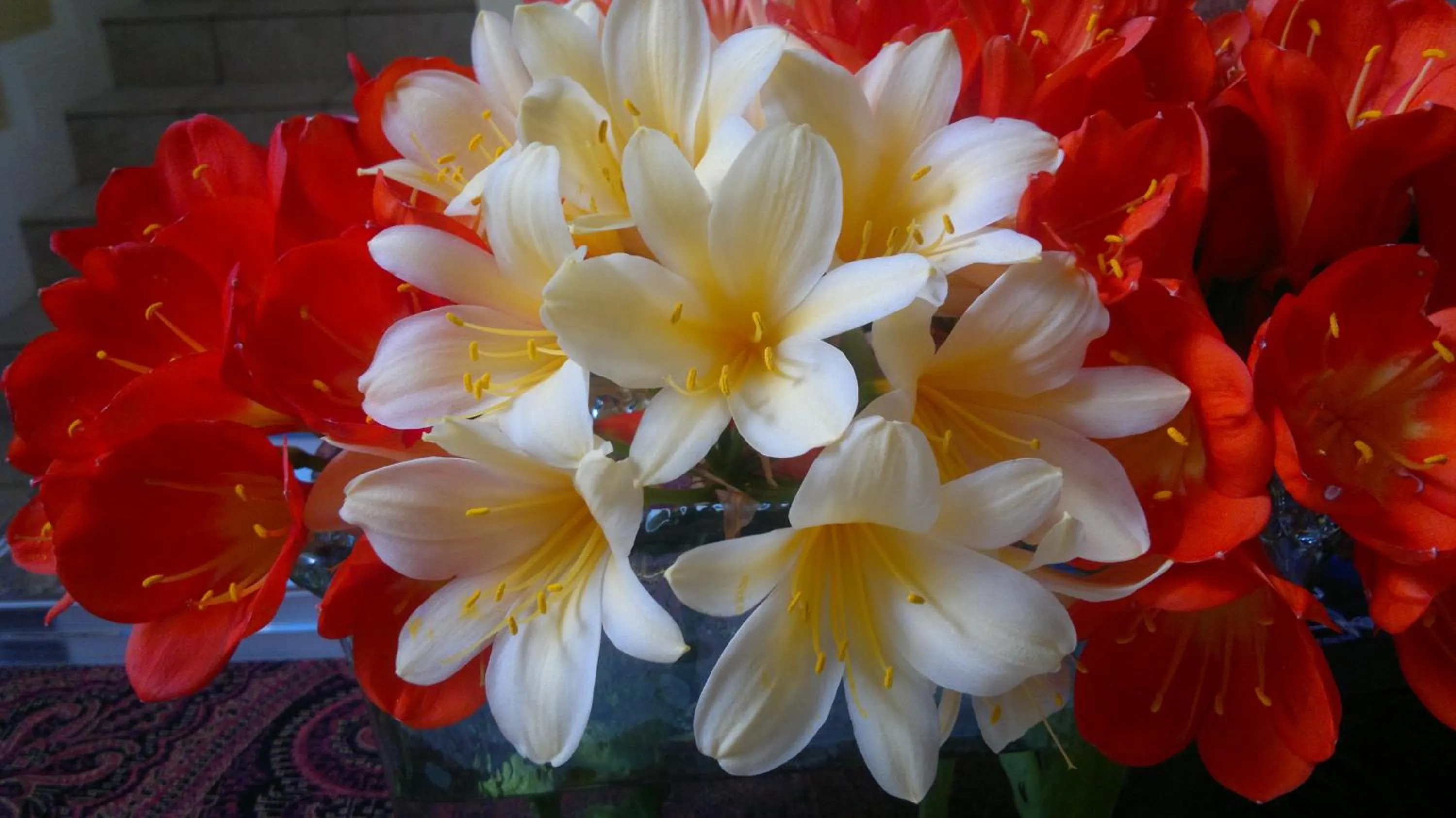 Garden in Serendipity Country House & Restaurant