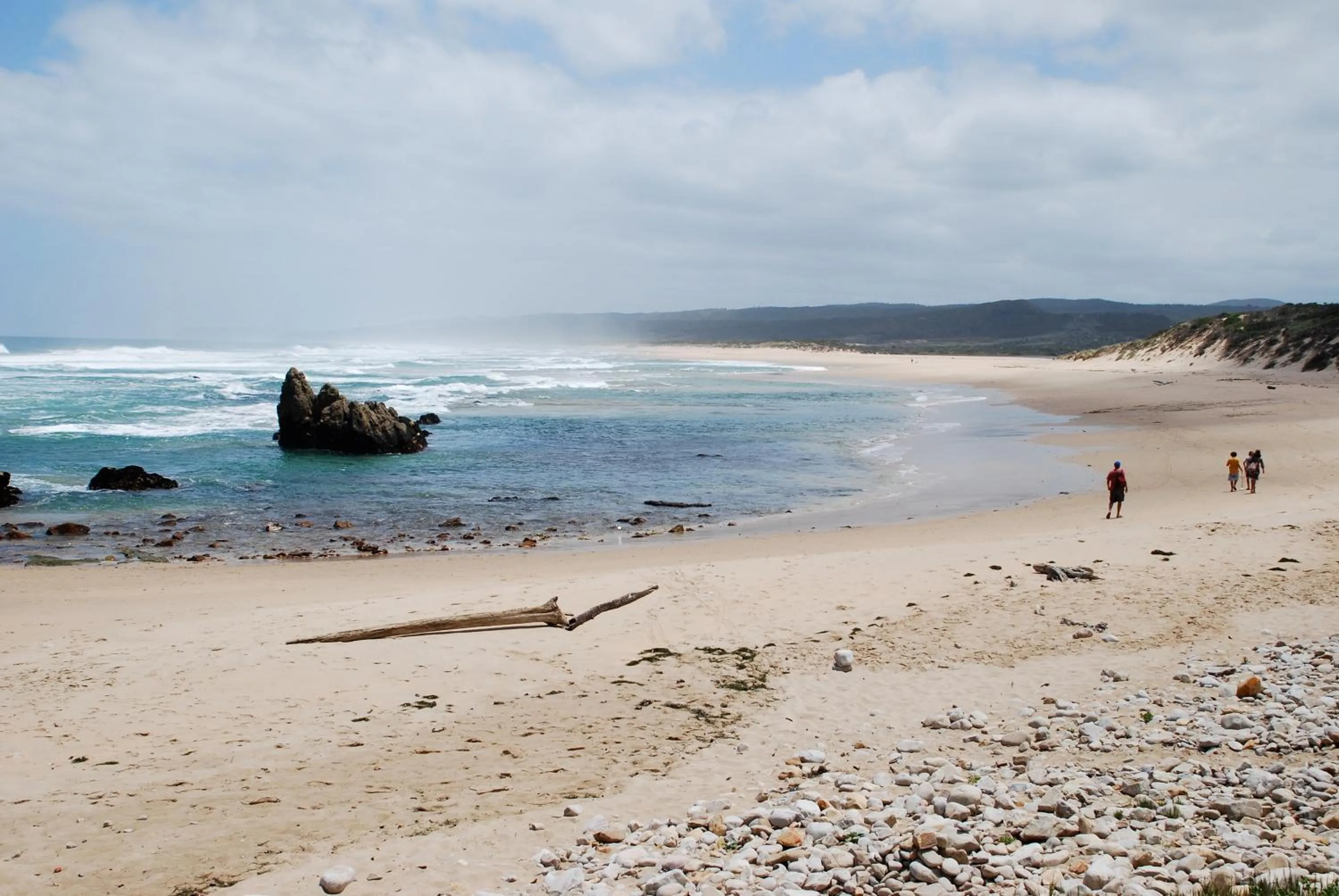 Area and facilities in Serendipity Country House & Restaurant