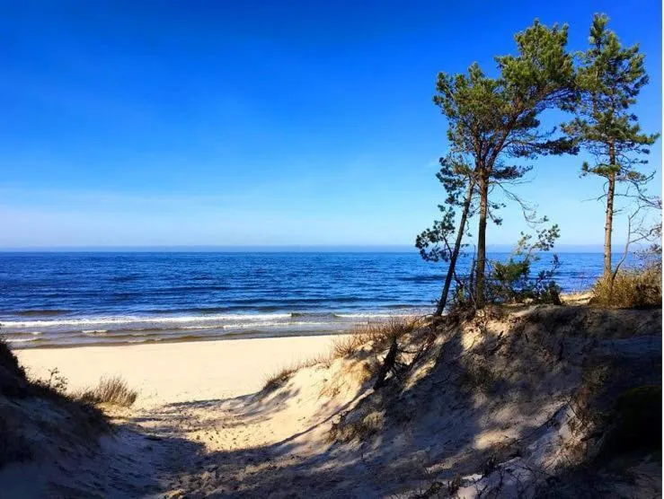 Natural landscape in Villa Park Wisełka Spa & Wellness