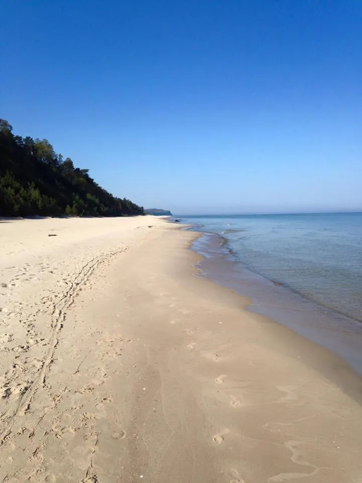 Natural landscape in Villa Park Wisełka Spa & Wellness