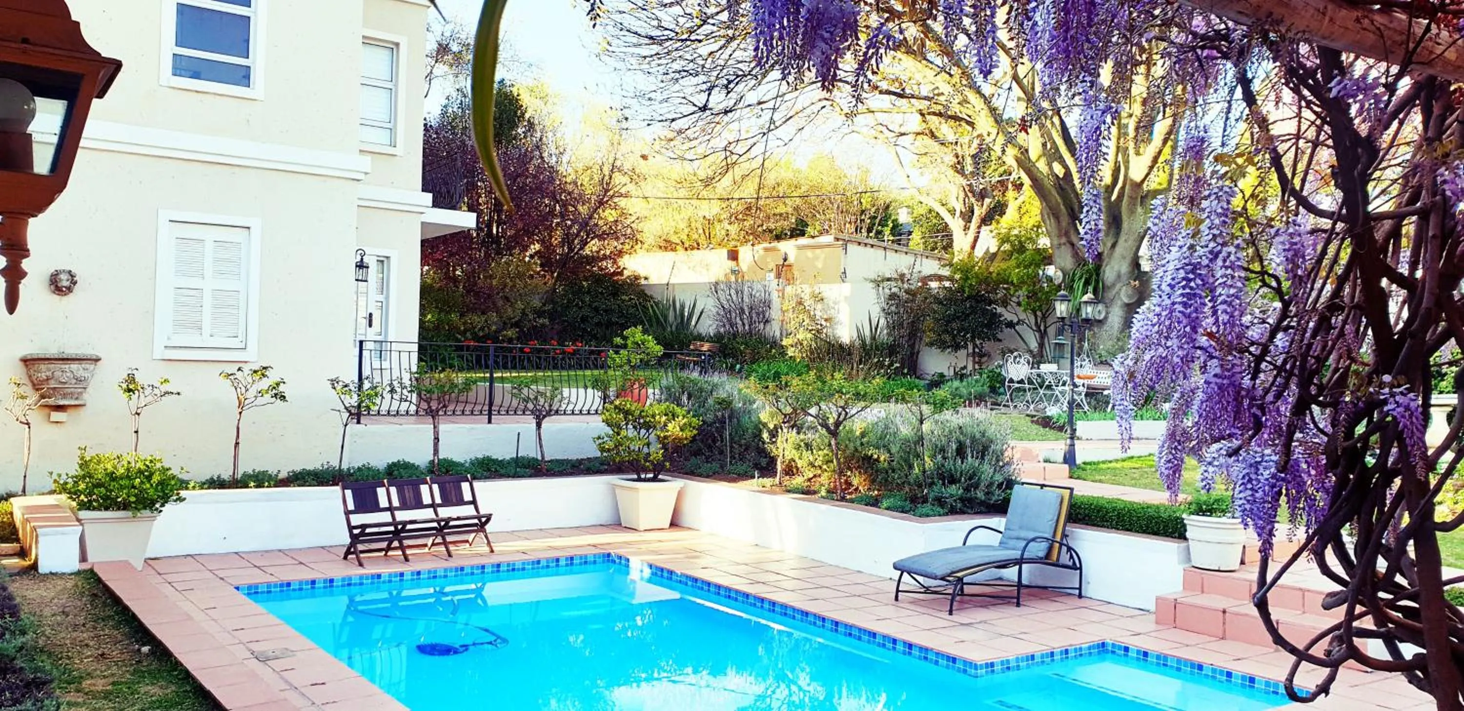 Garden in Leighwood Lodge