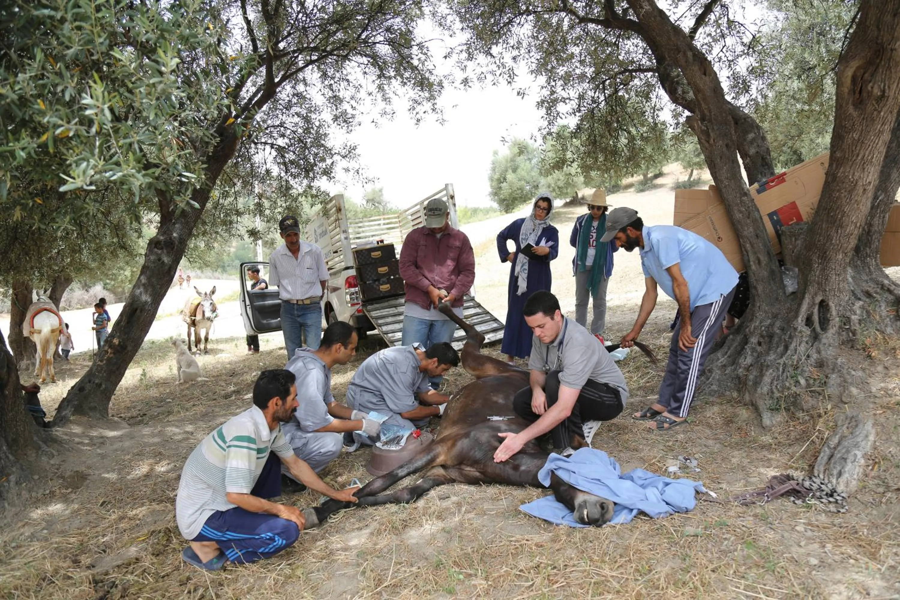 Activities in Dar Zerhoune