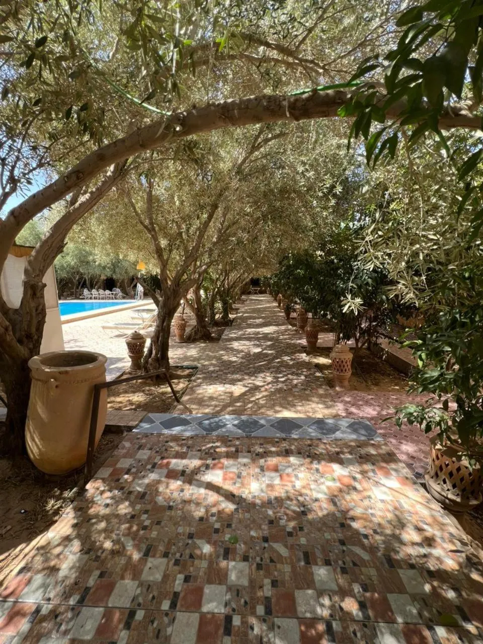 Property building in Haven La Chance Desert Hotel