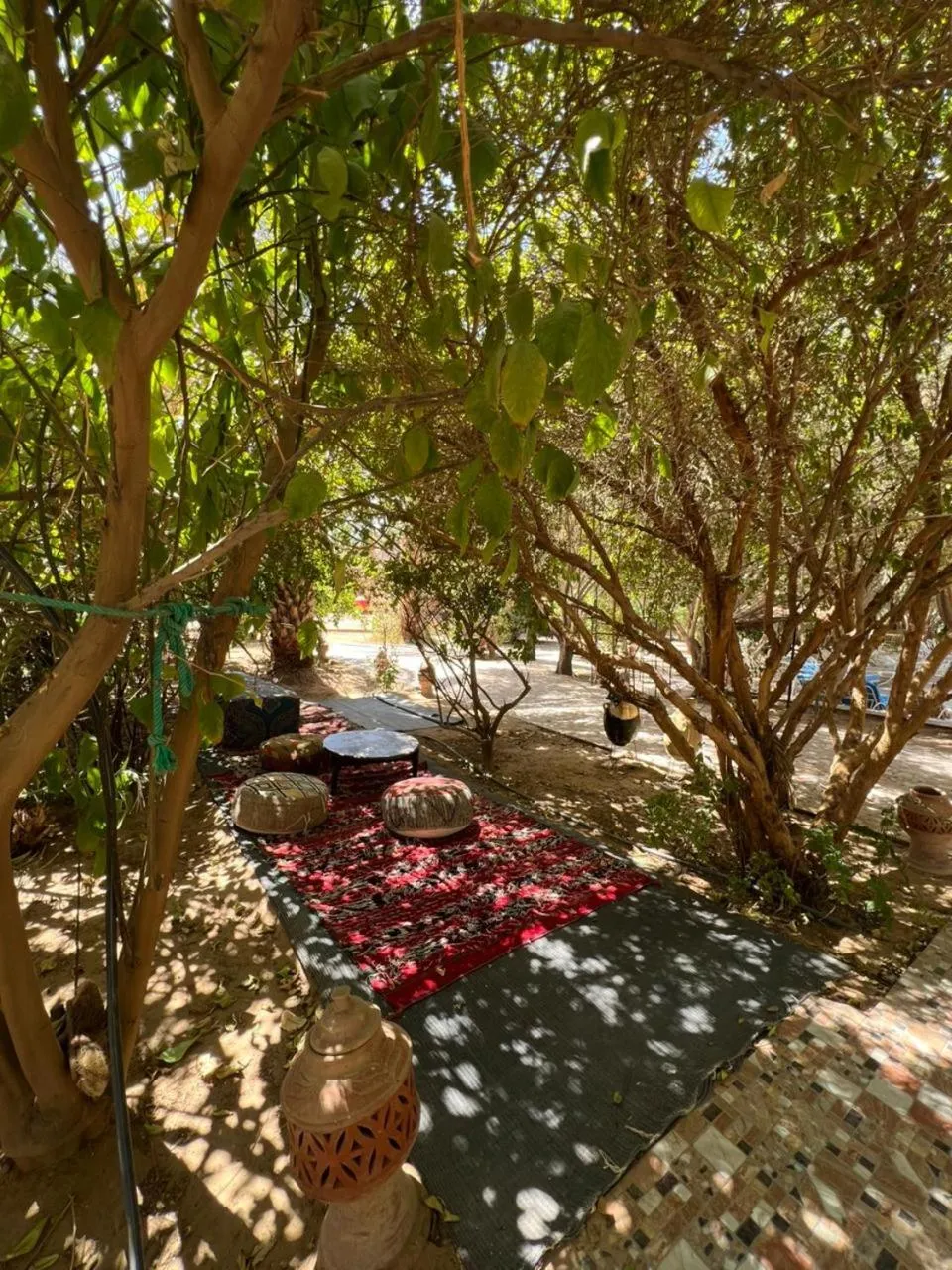 Property building in Haven La Chance Desert Hotel