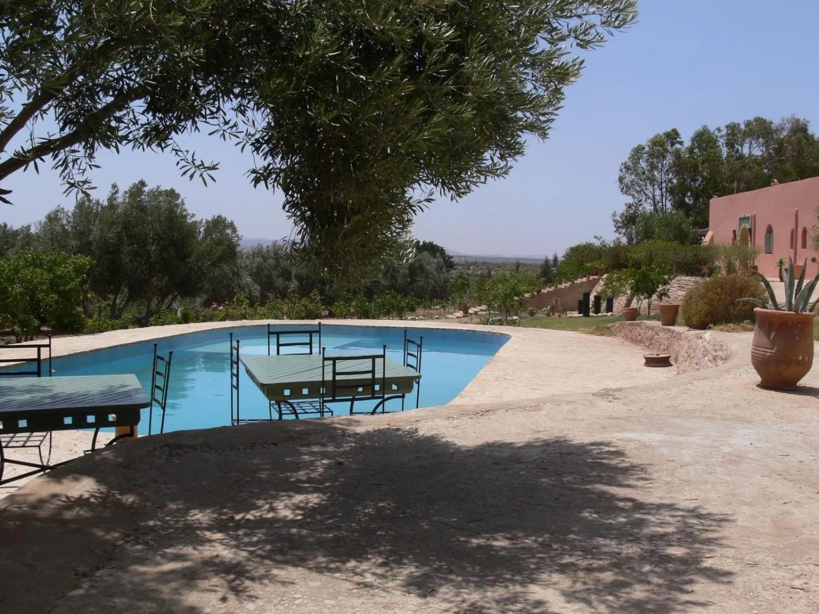 Swimming pool in Riad Douar Des Oliviers