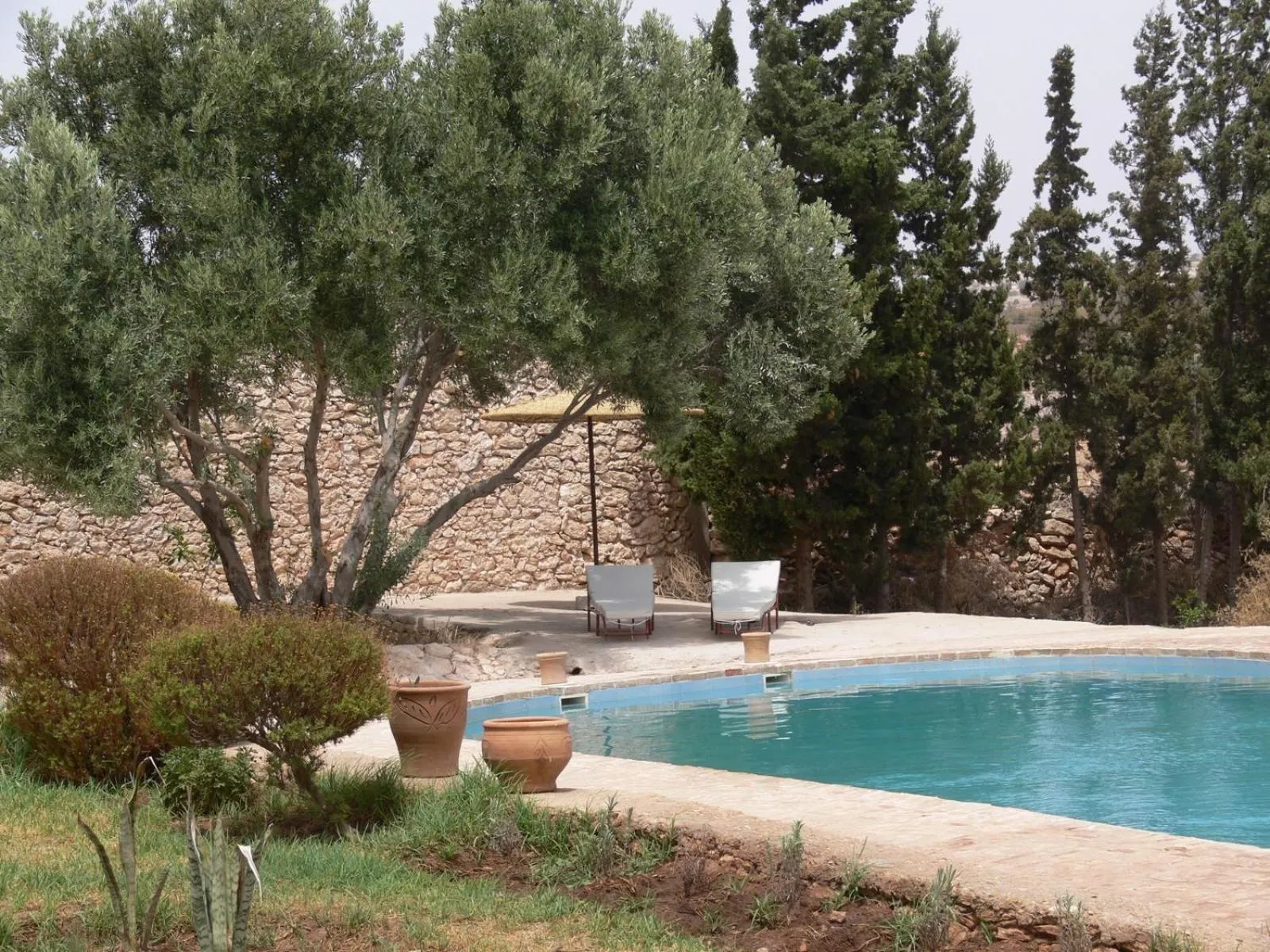 Swimming pool in Riad Douar Des Oliviers