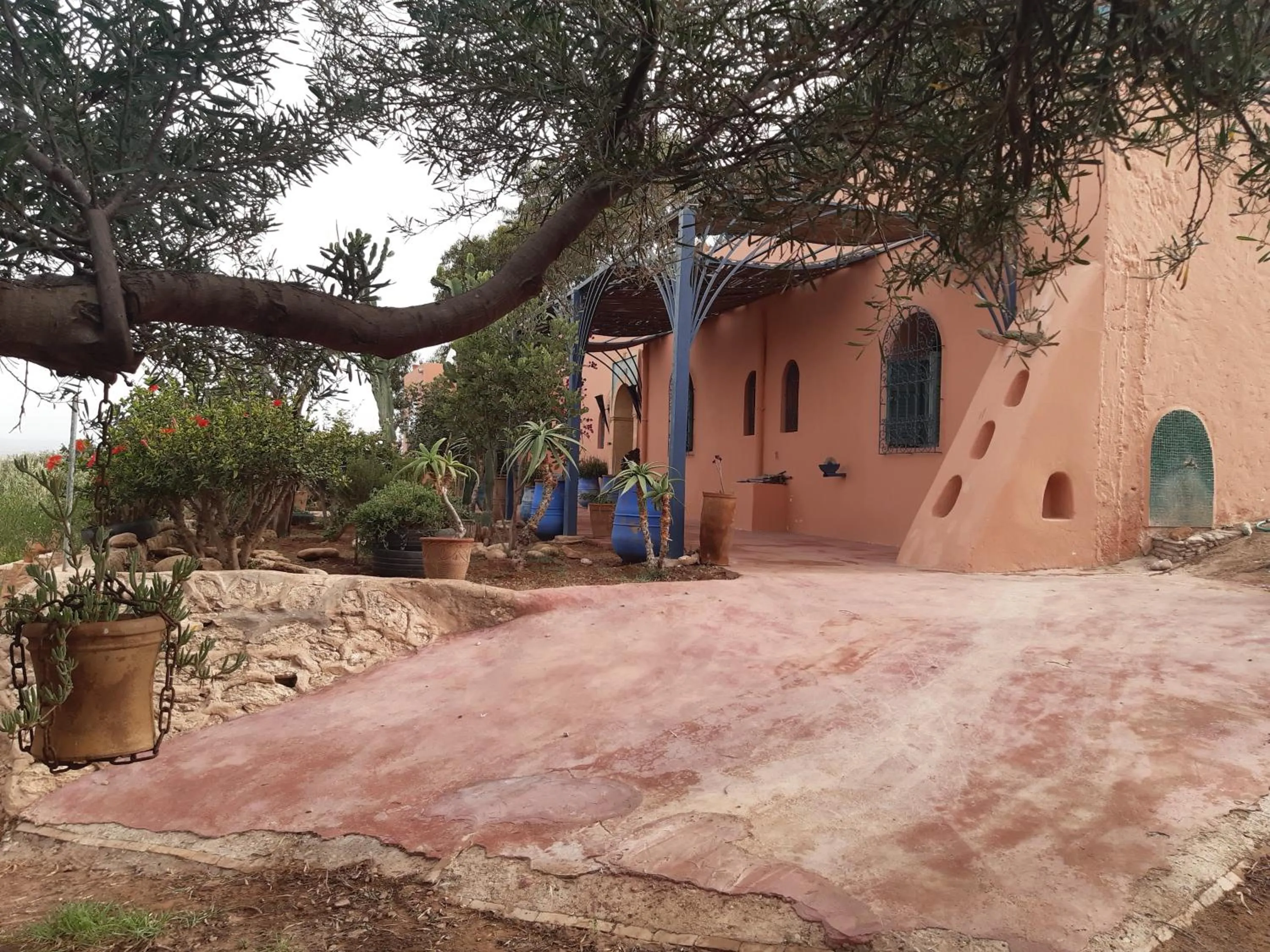 Facade/entrance in Riad Douar Des Oliviers