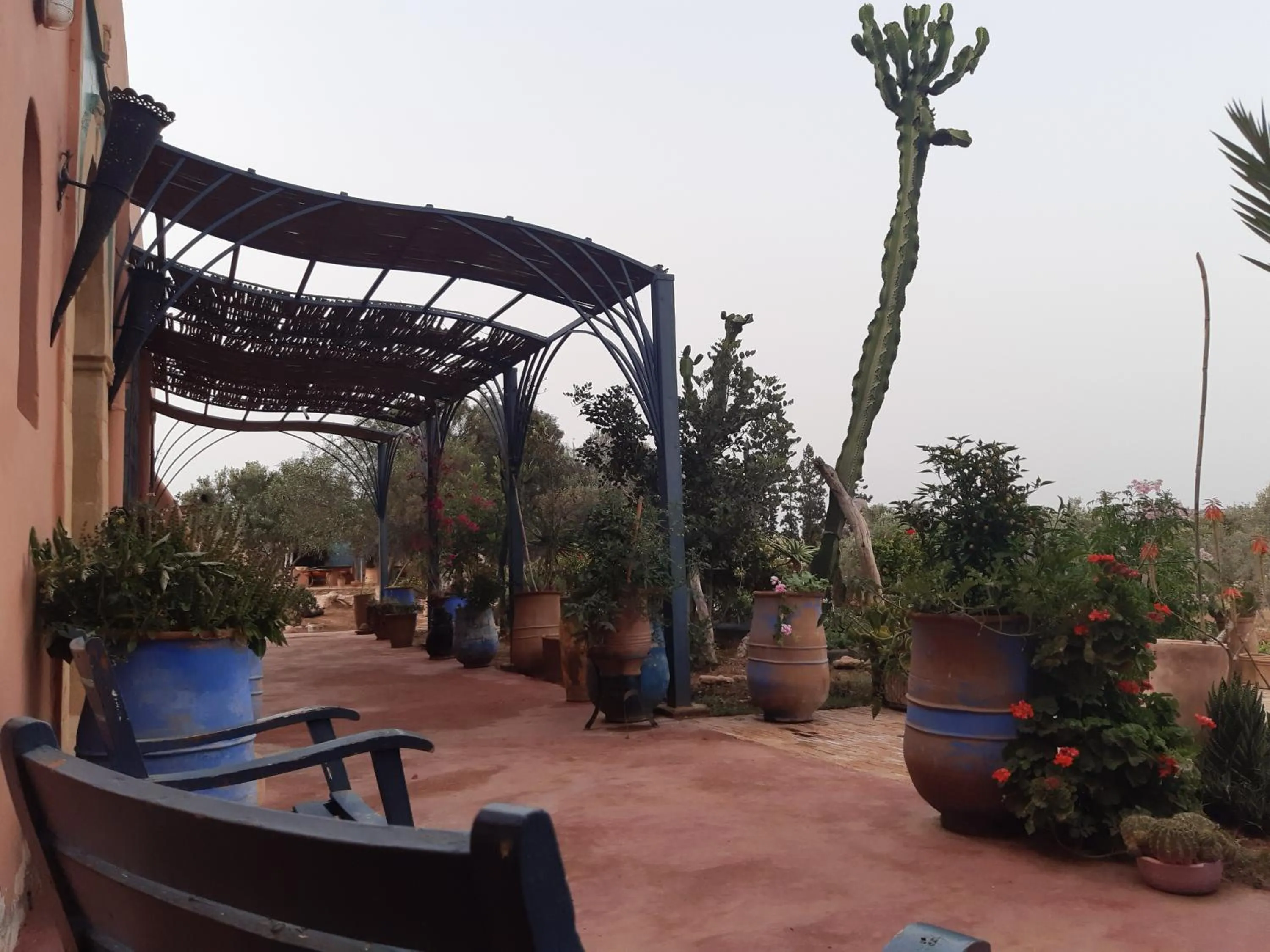 Facade/entrance in Riad Douar Des Oliviers