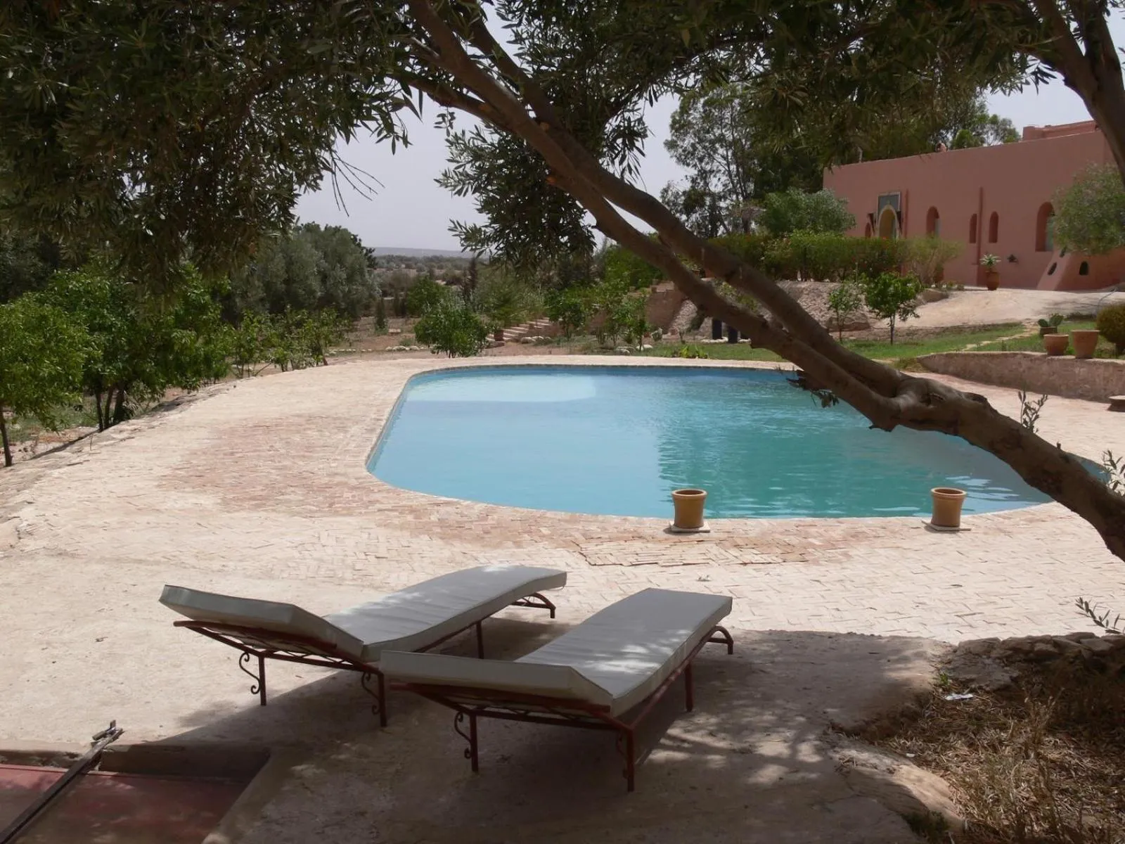 Swimming pool in Riad Douar Des Oliviers