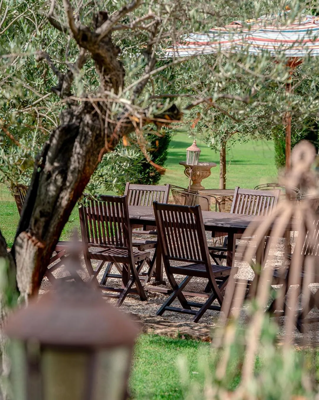 Spring in Mas des Comtes de Provence