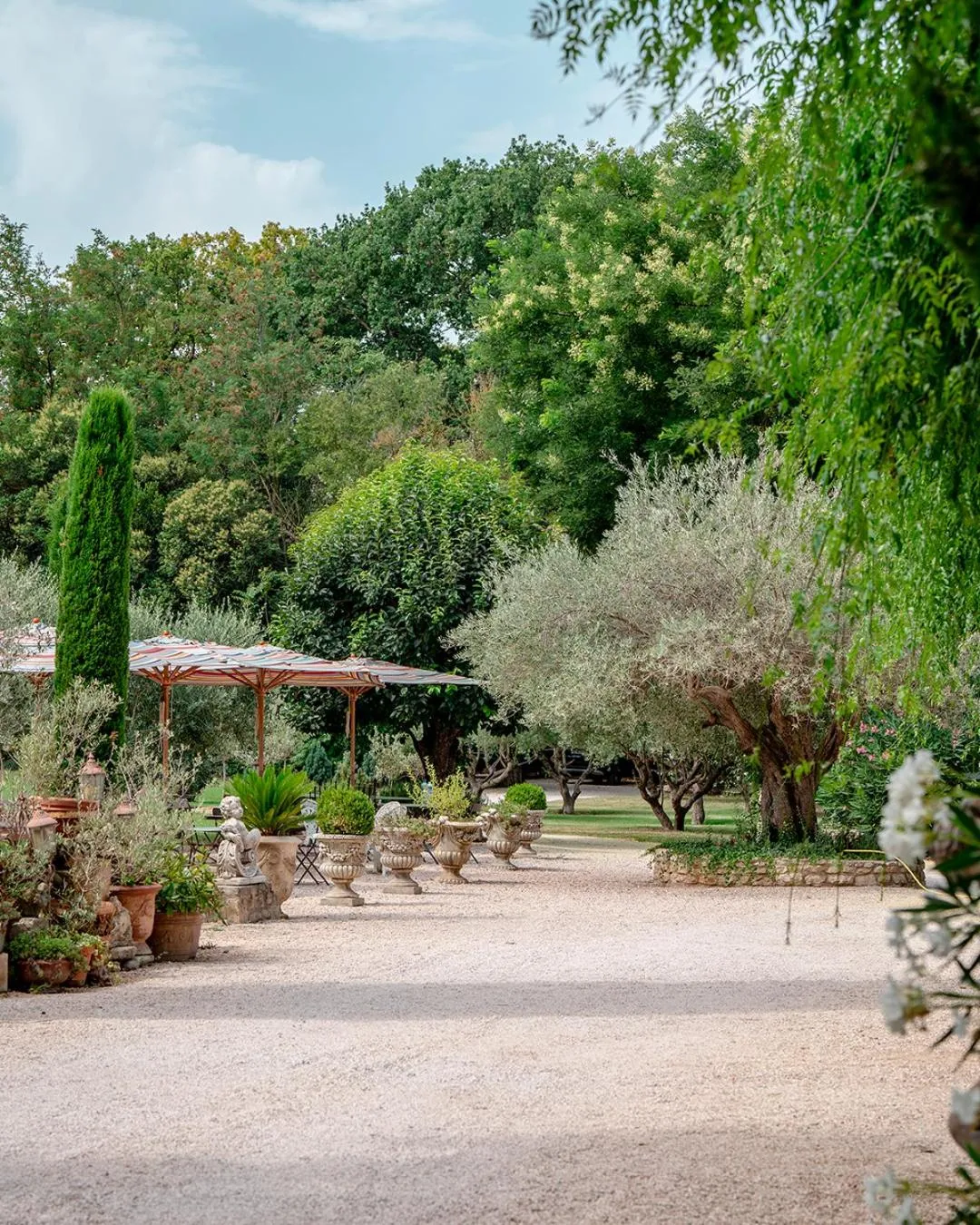 Spring in Mas des Comtes de Provence