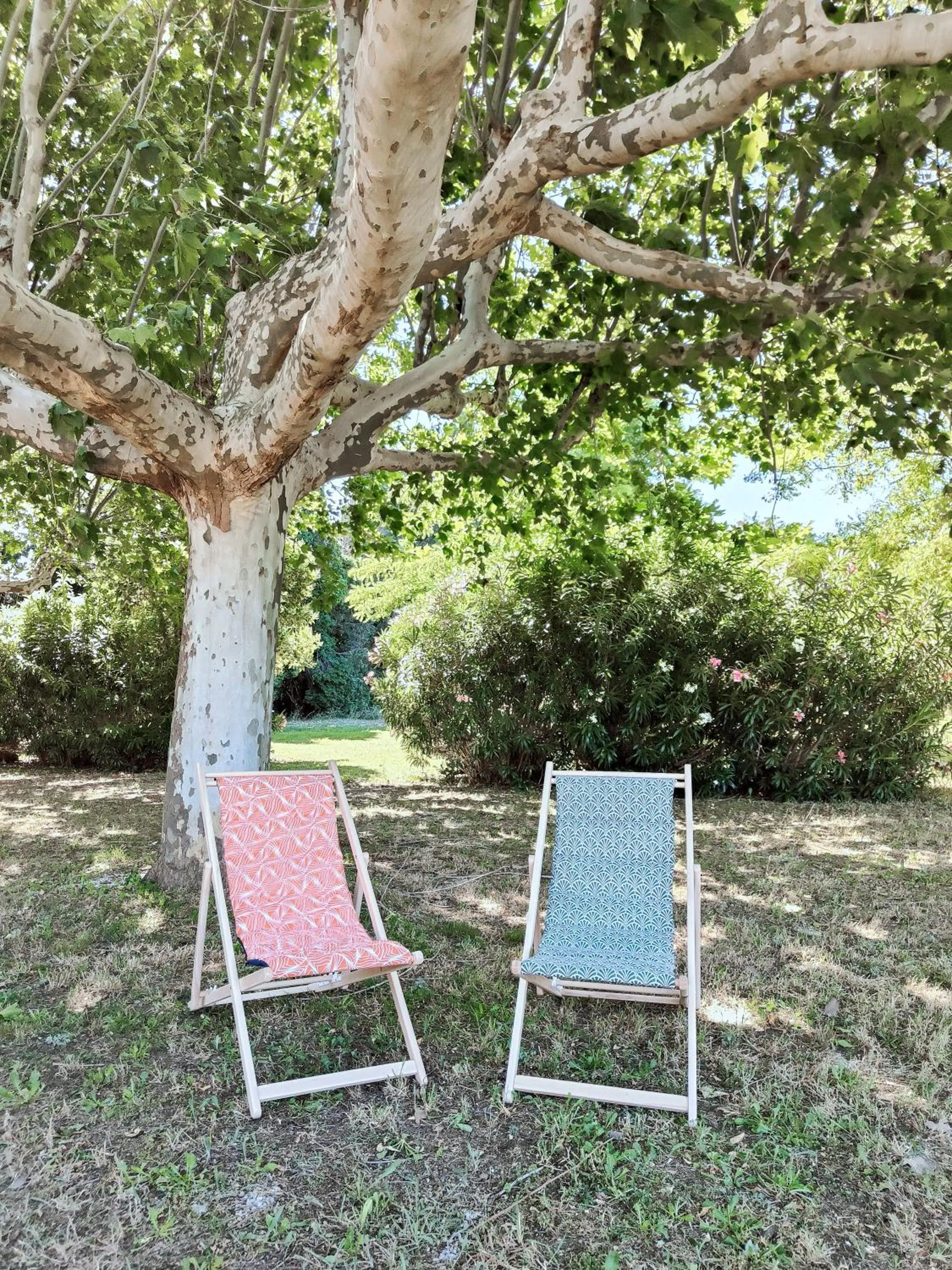 Natural landscape in Mas des Comtes de Provence