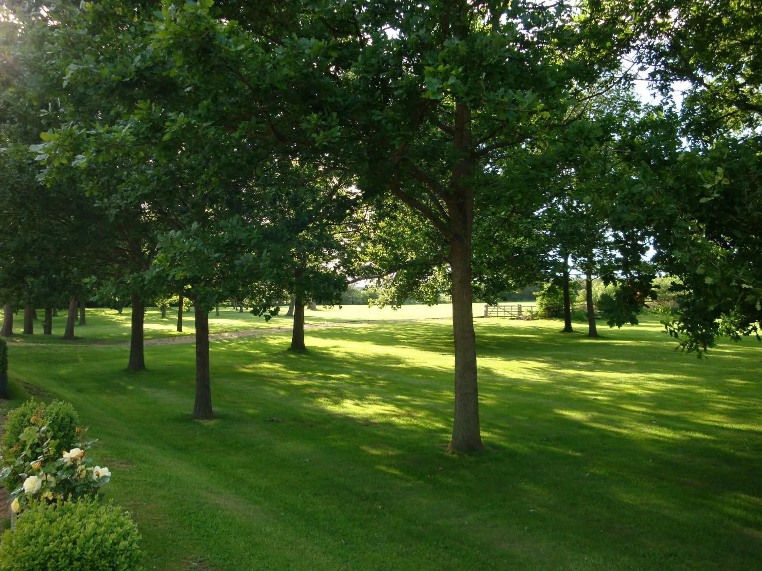 Garden in The Boars Head Hotel