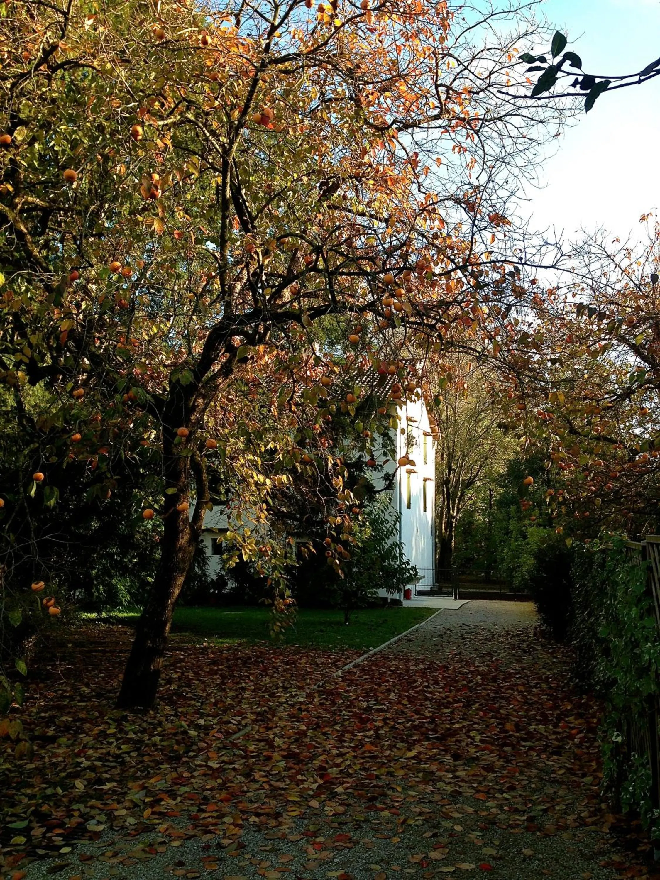 Garden in Ca' Marsure B&B