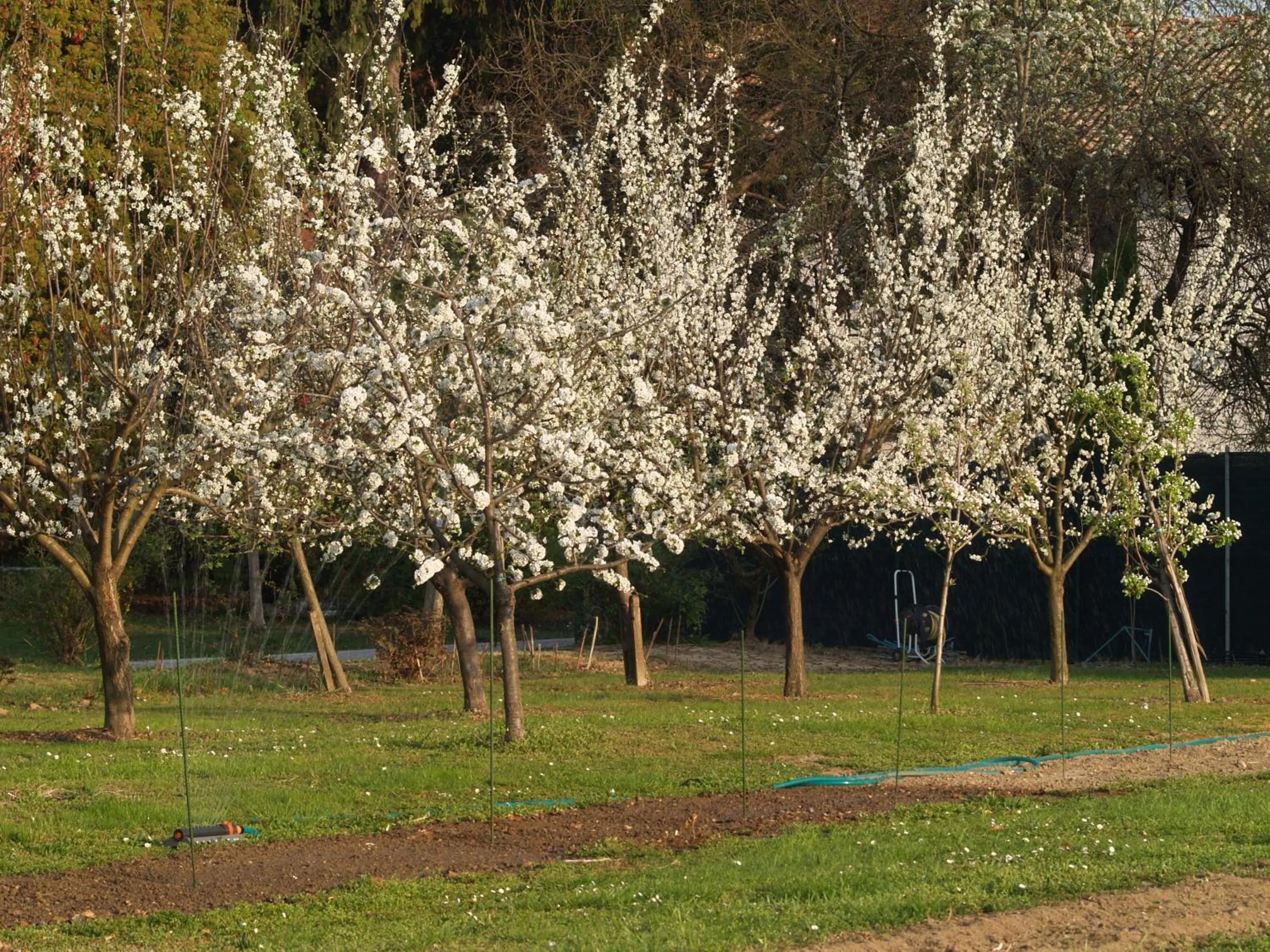 Area and facilities in Ca' Marsure B&B