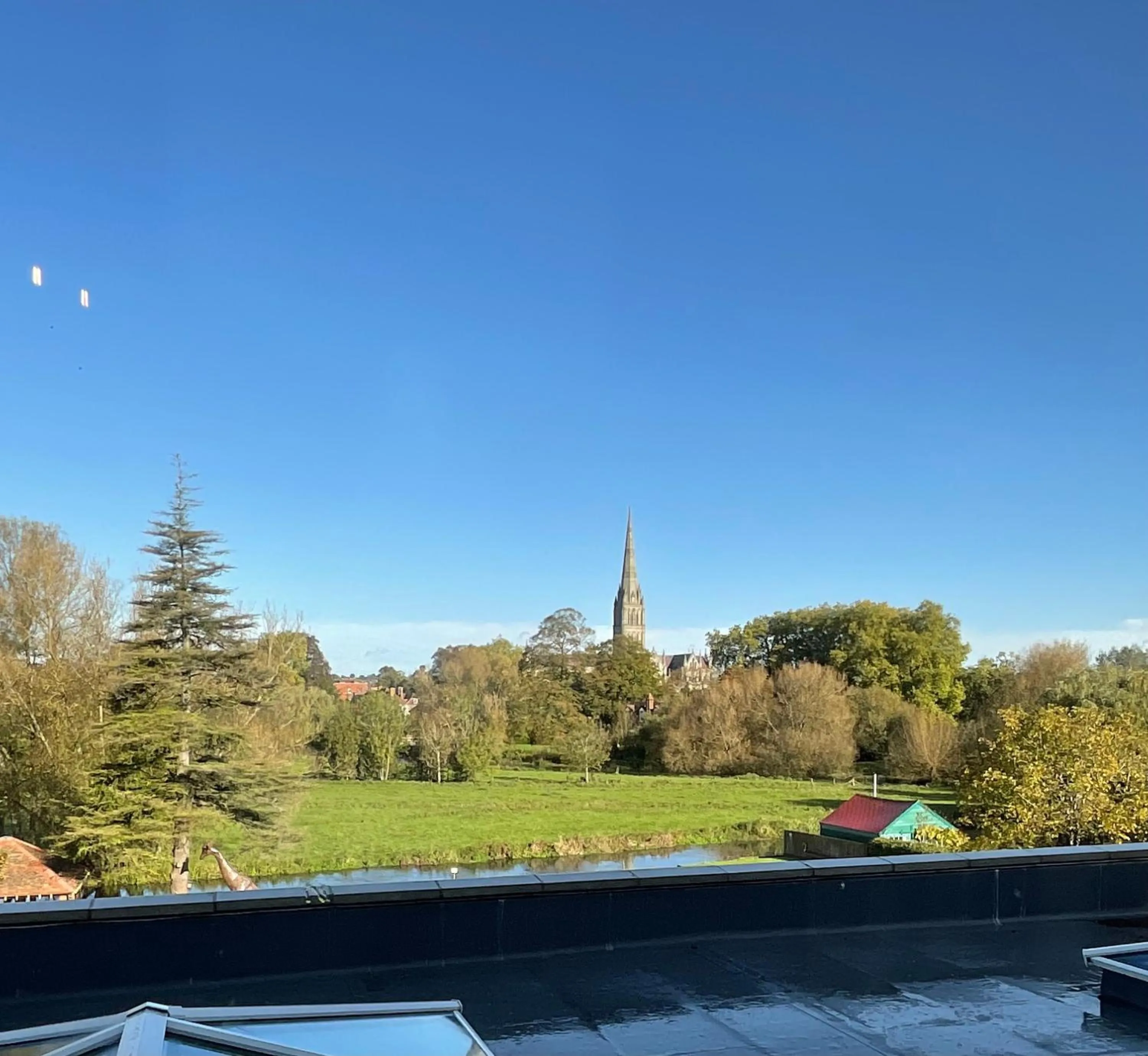 Natural landscape in The Riverside