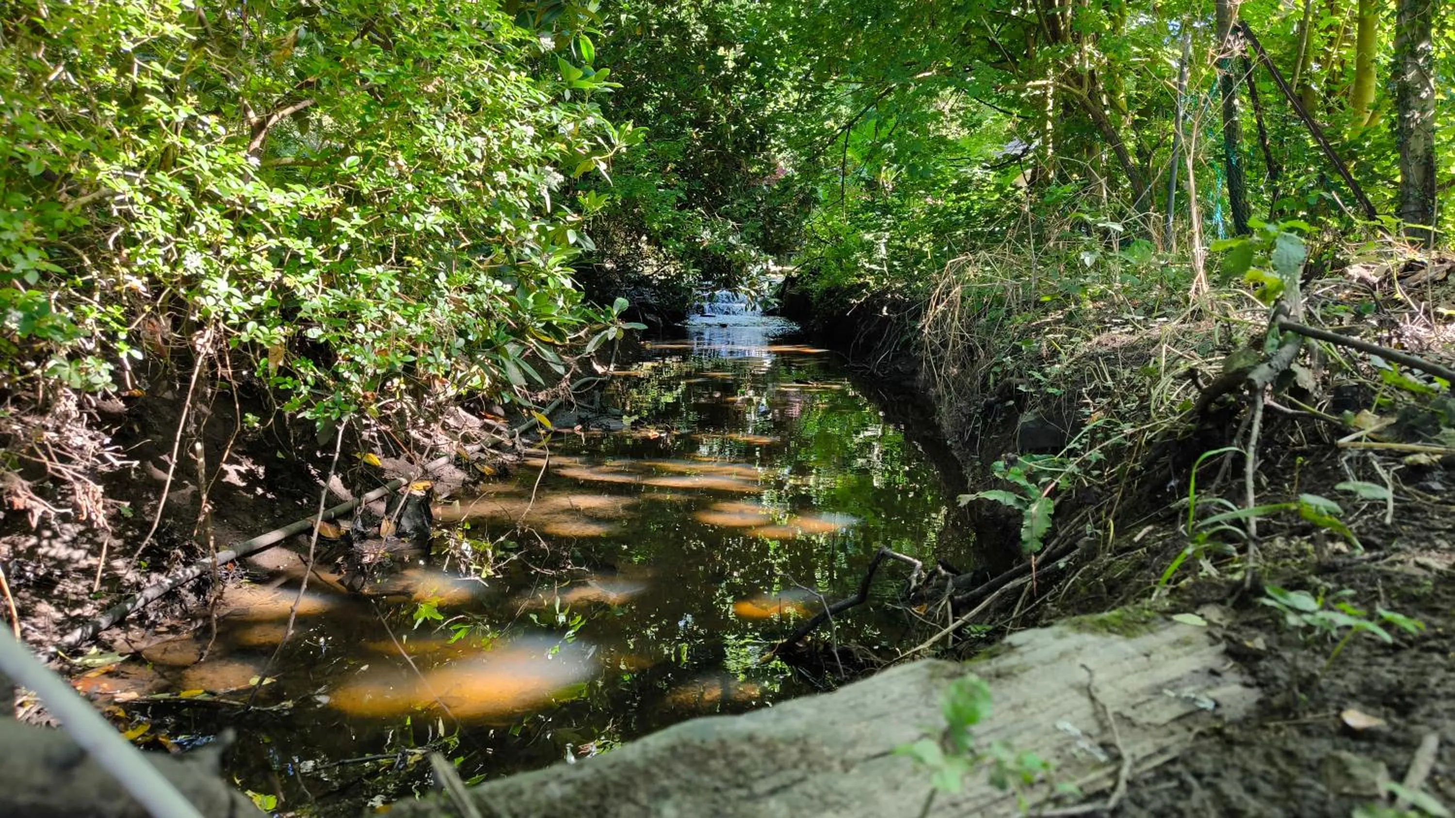 Natural landscape in Brook Hall Hotel