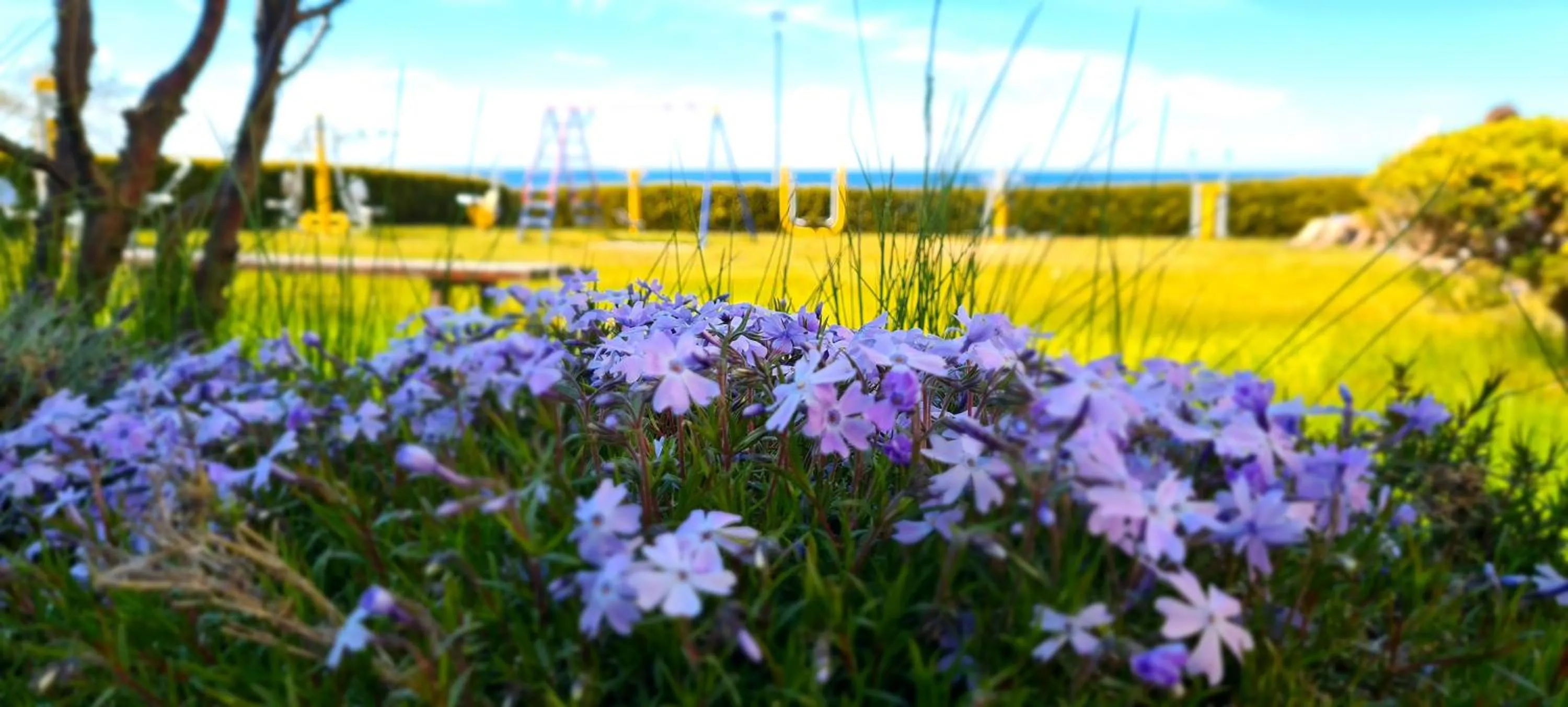 Garden view in Ośrodek Wypoczynkowy Gwarek Ustronie Morskie