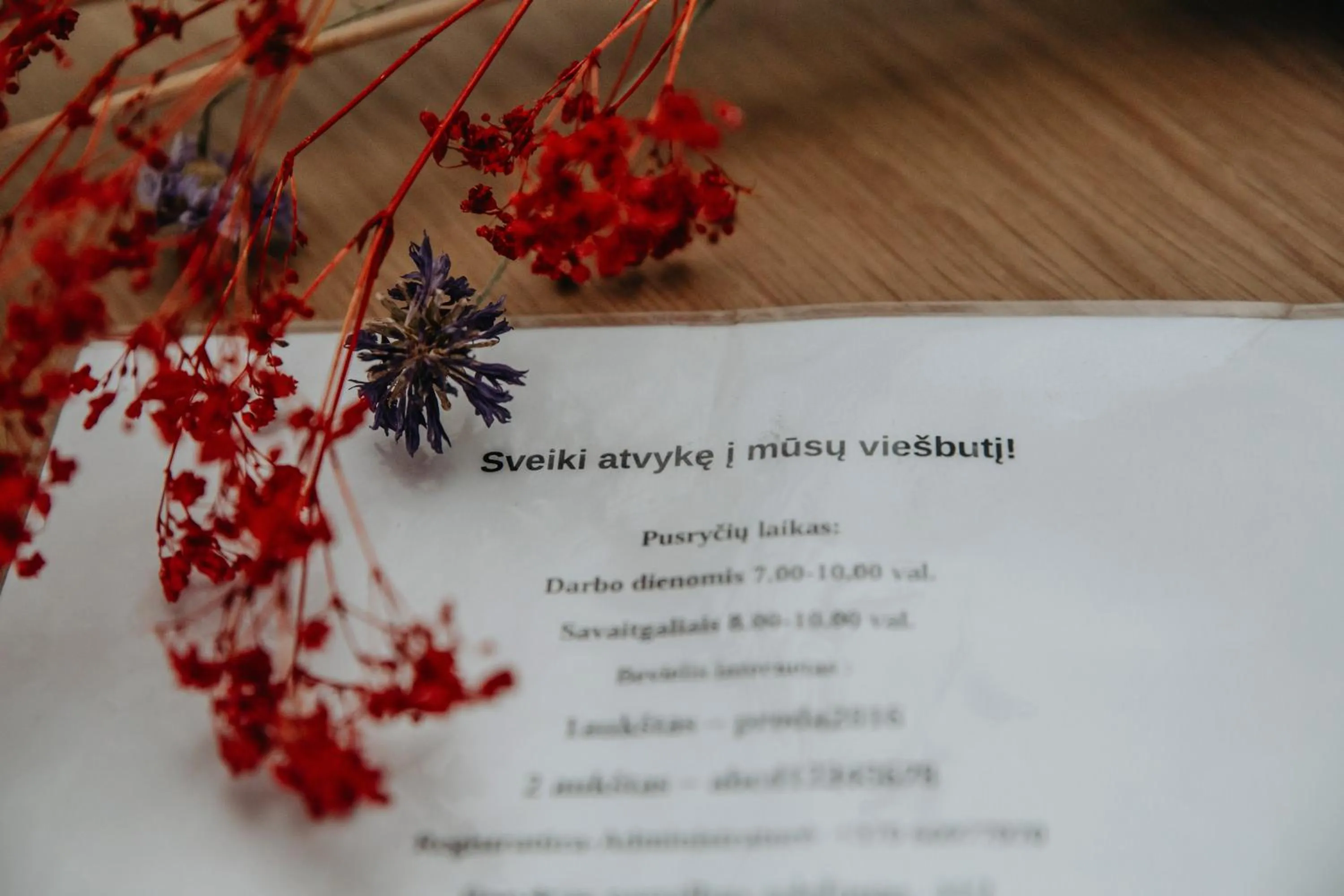 Verslo Klasė-easy to stay