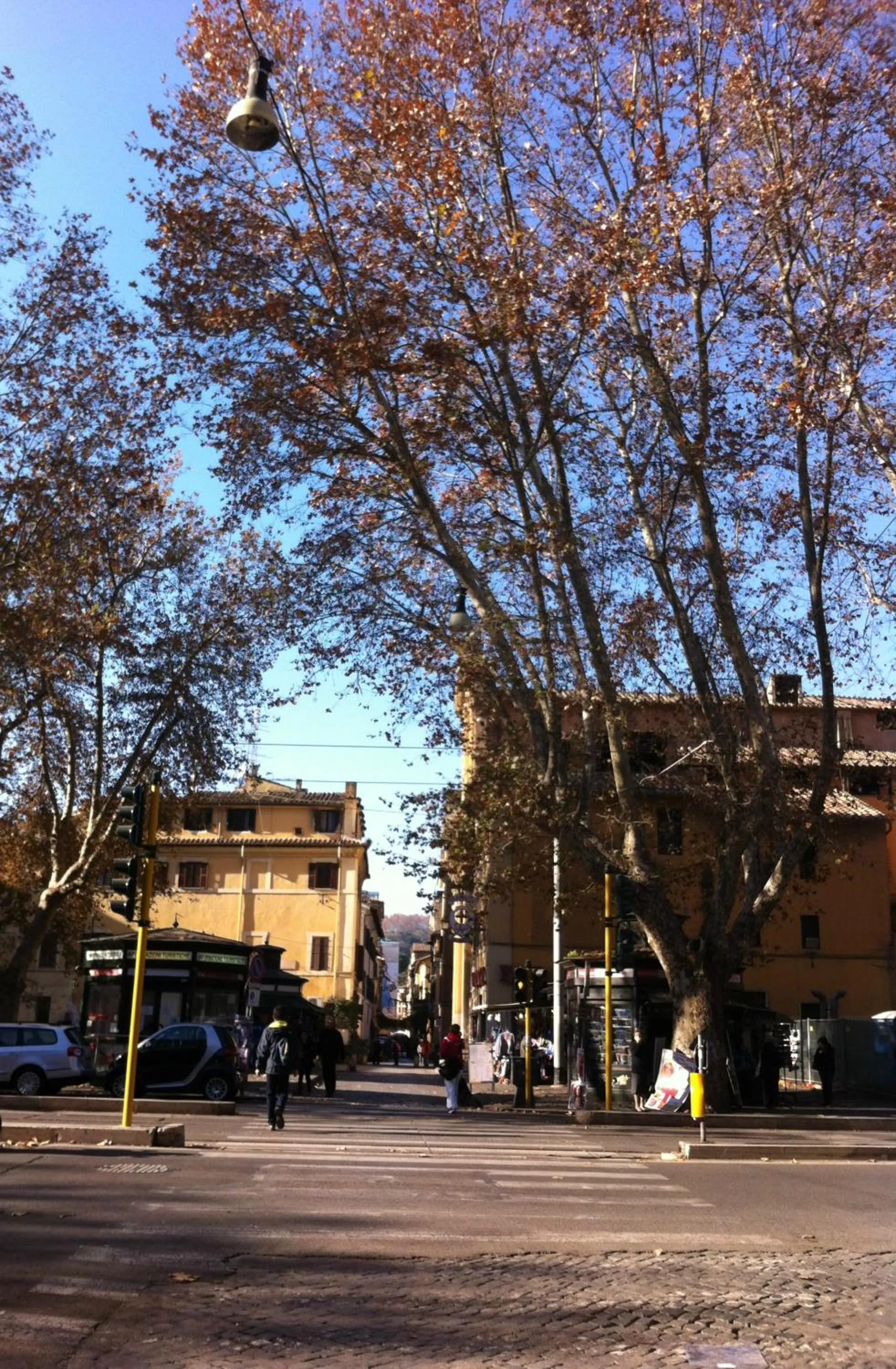 Neighbourhood in Residenza Delle Arti