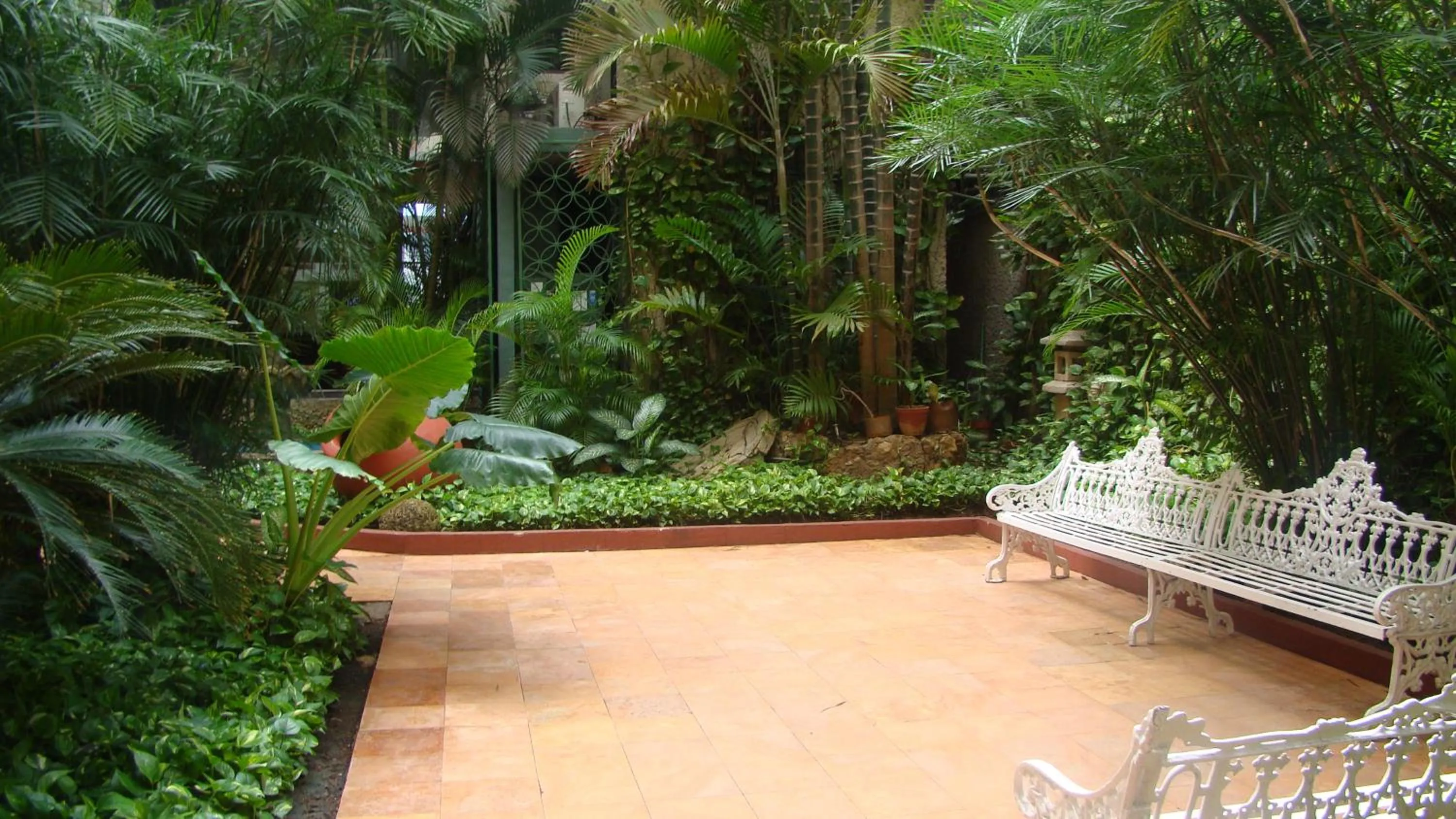 Garden view in Hotel Los Aluxes