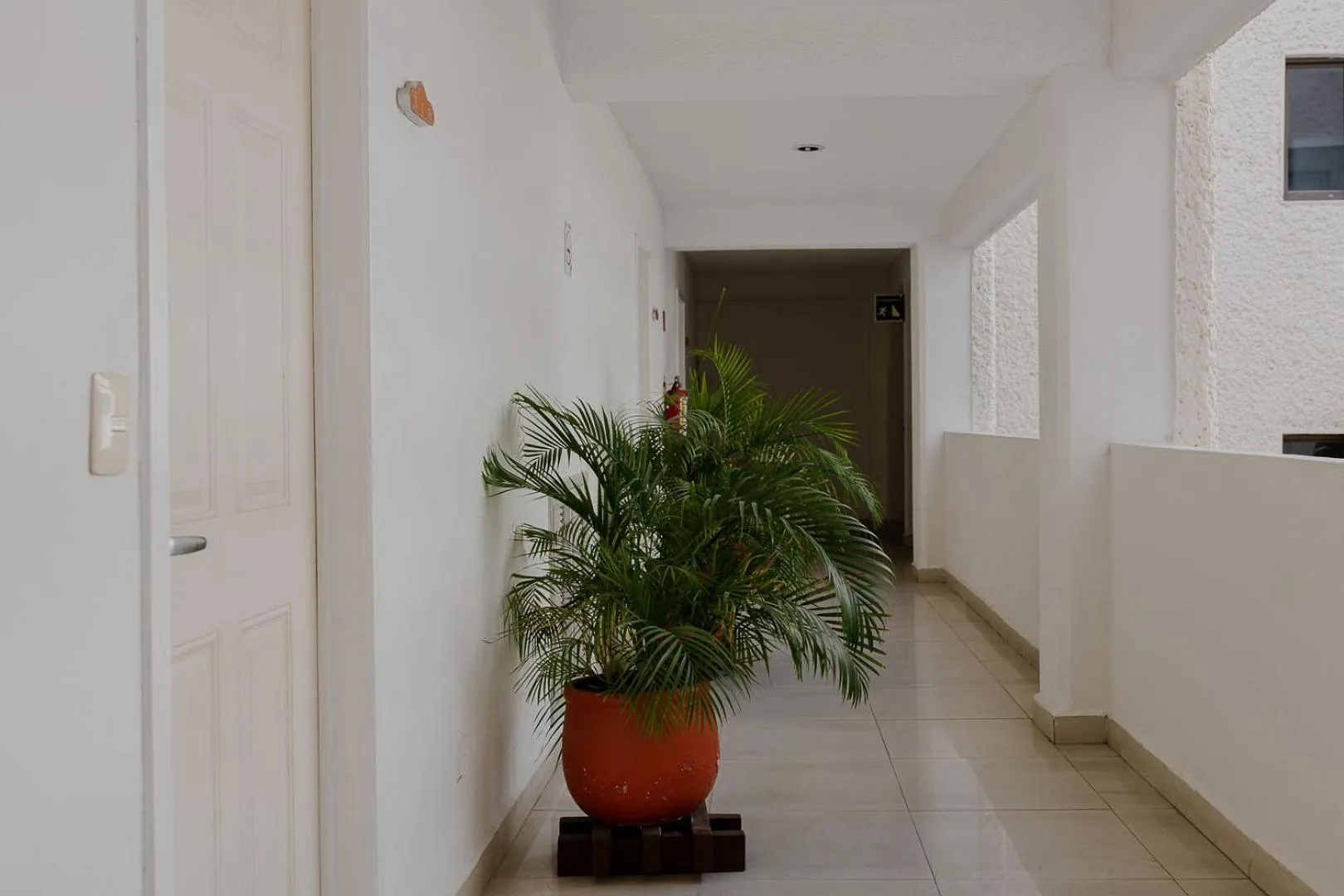 Property building in Hotel Los Aluxes