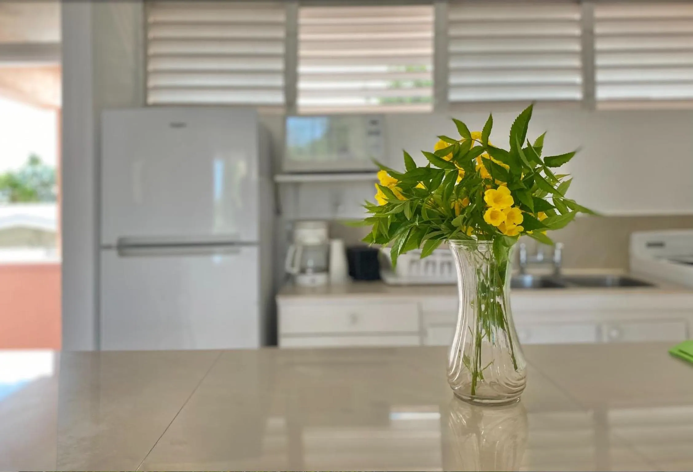 Kitchen or kitchenette in The Monteray Hotel