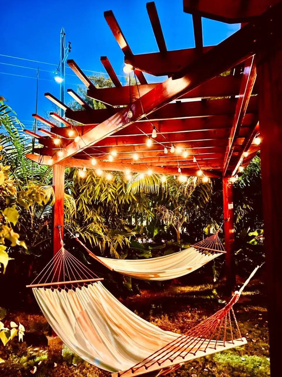 Garden in The Monteray Hotel