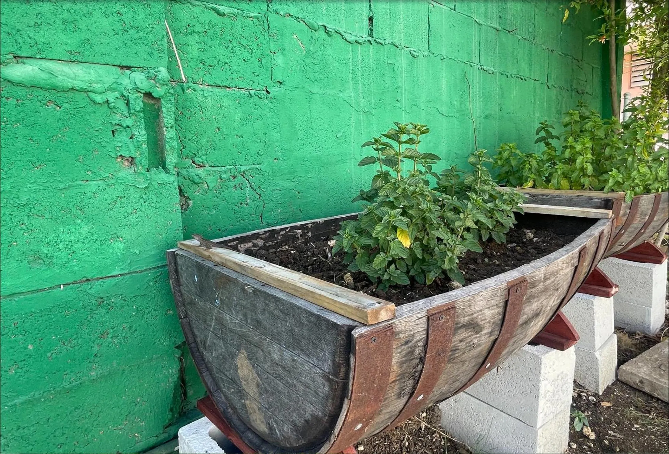 Day in The Monteray Hotel