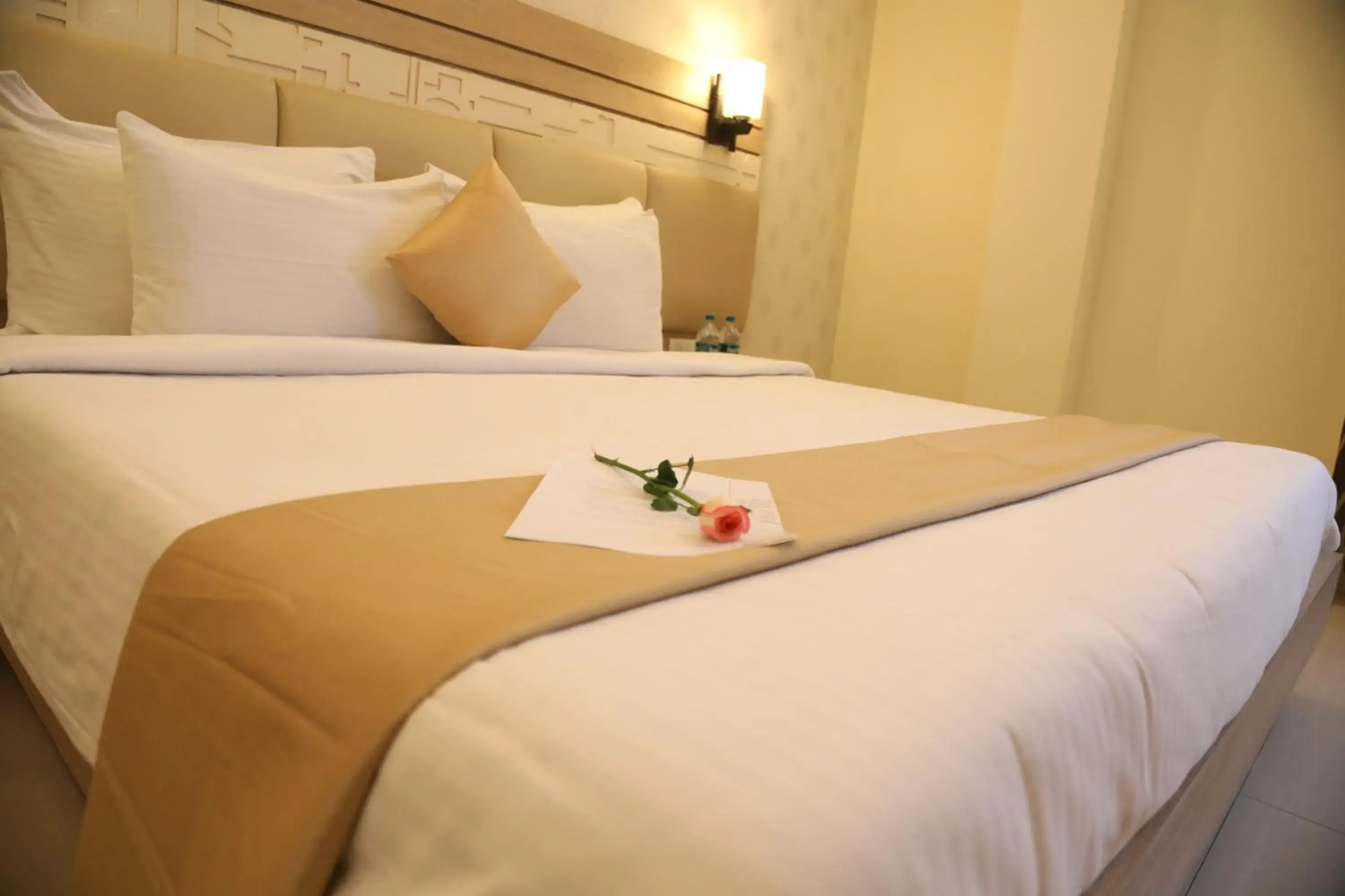 Budget Double Room - single occupancy in Hotel Kanha’s Palm Springs Budget Double Room - single occupancy in Hotel Kanha’s Palm Springs